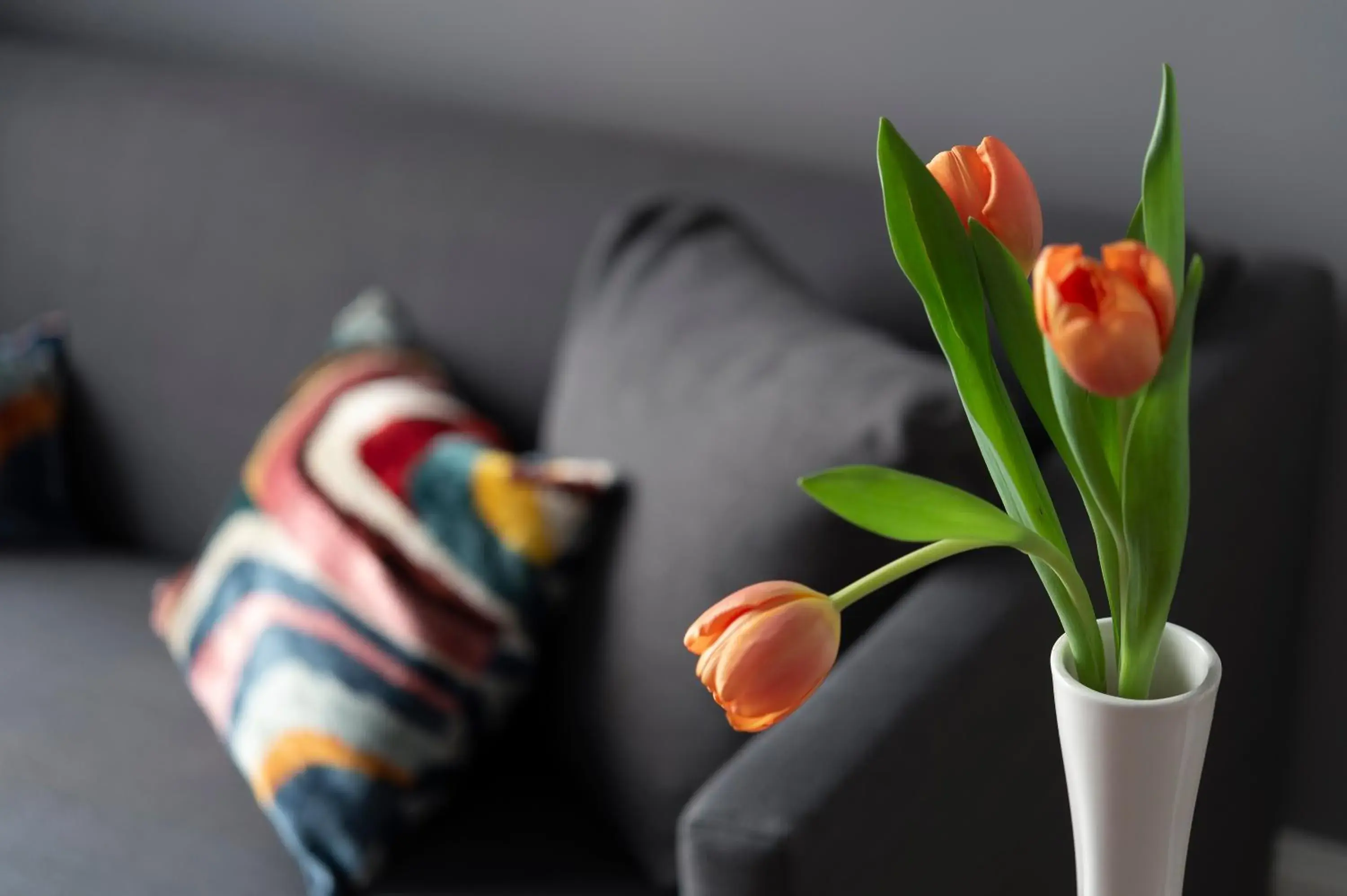 Suite in Butterfly Verona Suite in Butterfly Verona