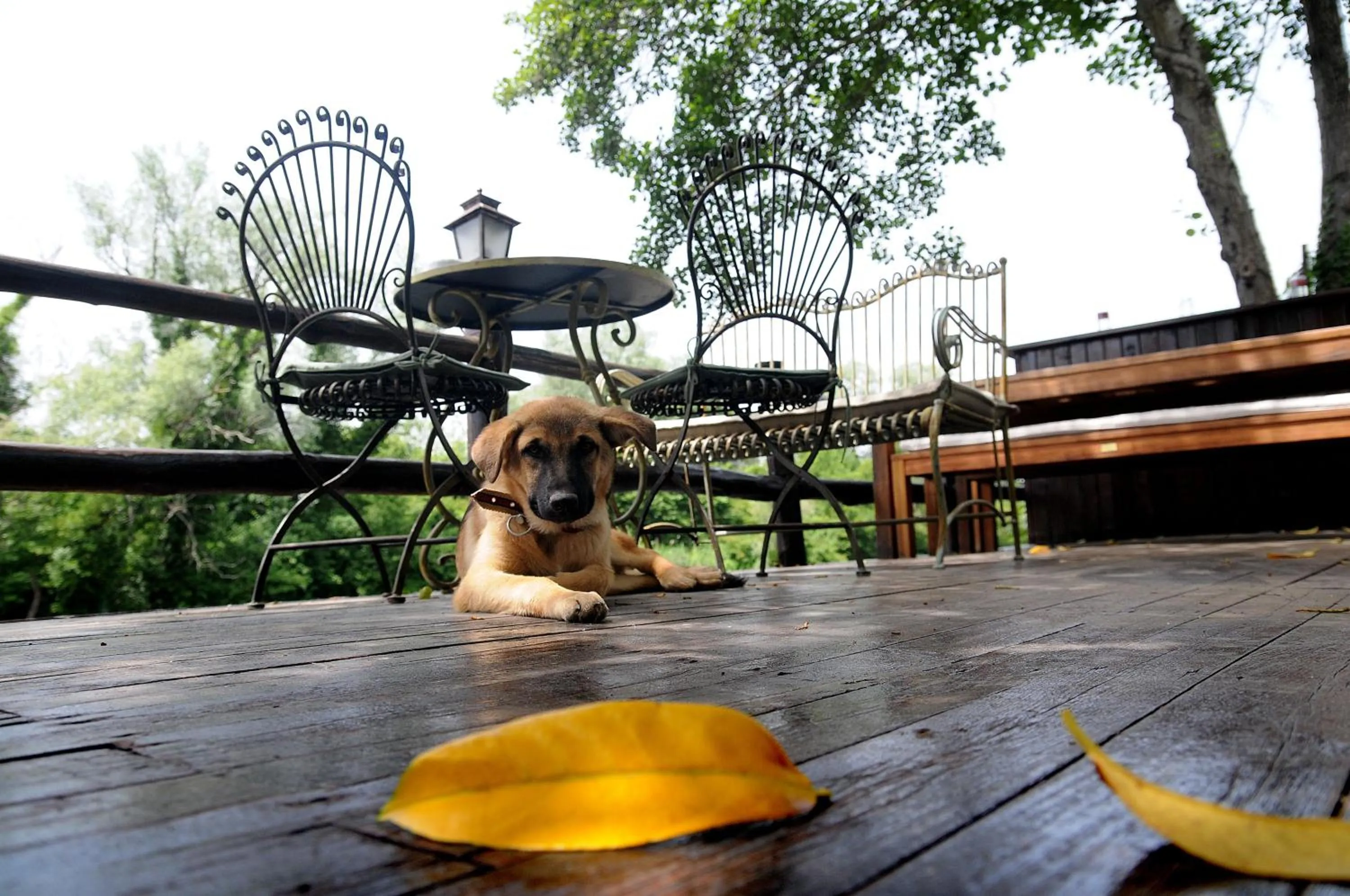 Garden in Beyaz Ev Agva - Adult only +15