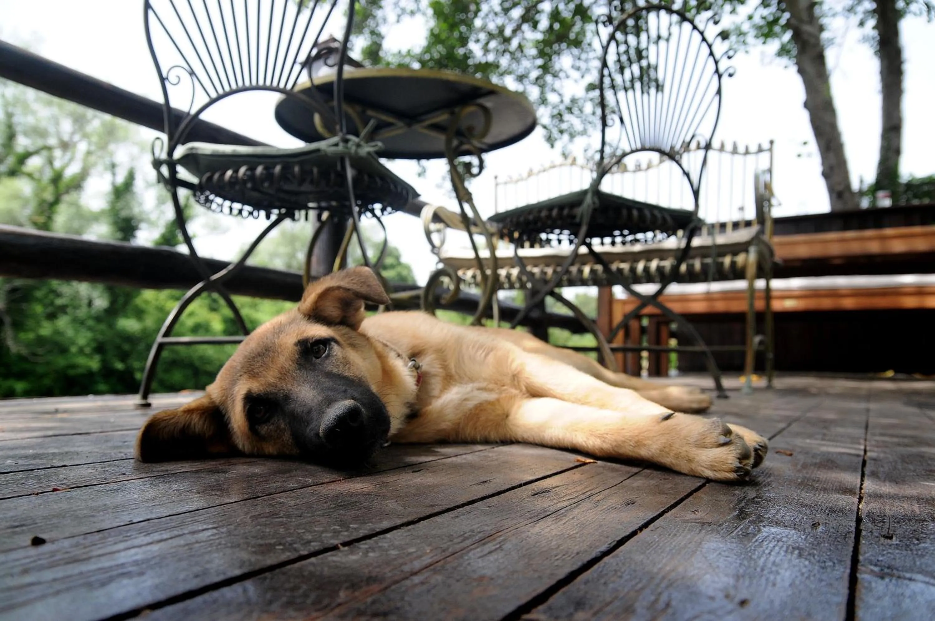 Garden in Beyaz Ev Agva - Adult only +15