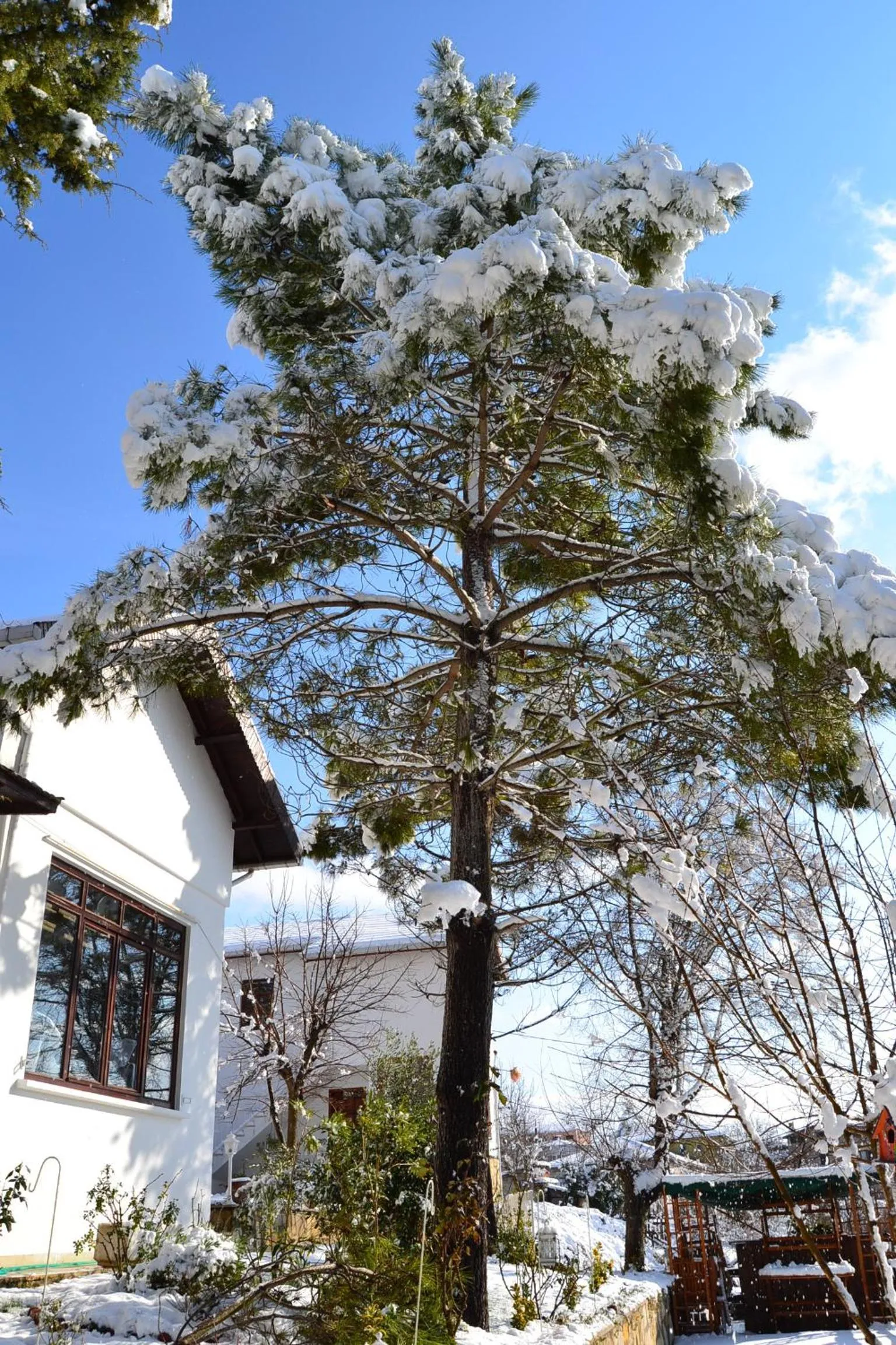 Winter in Beyaz Ev Agva - Adult only +15