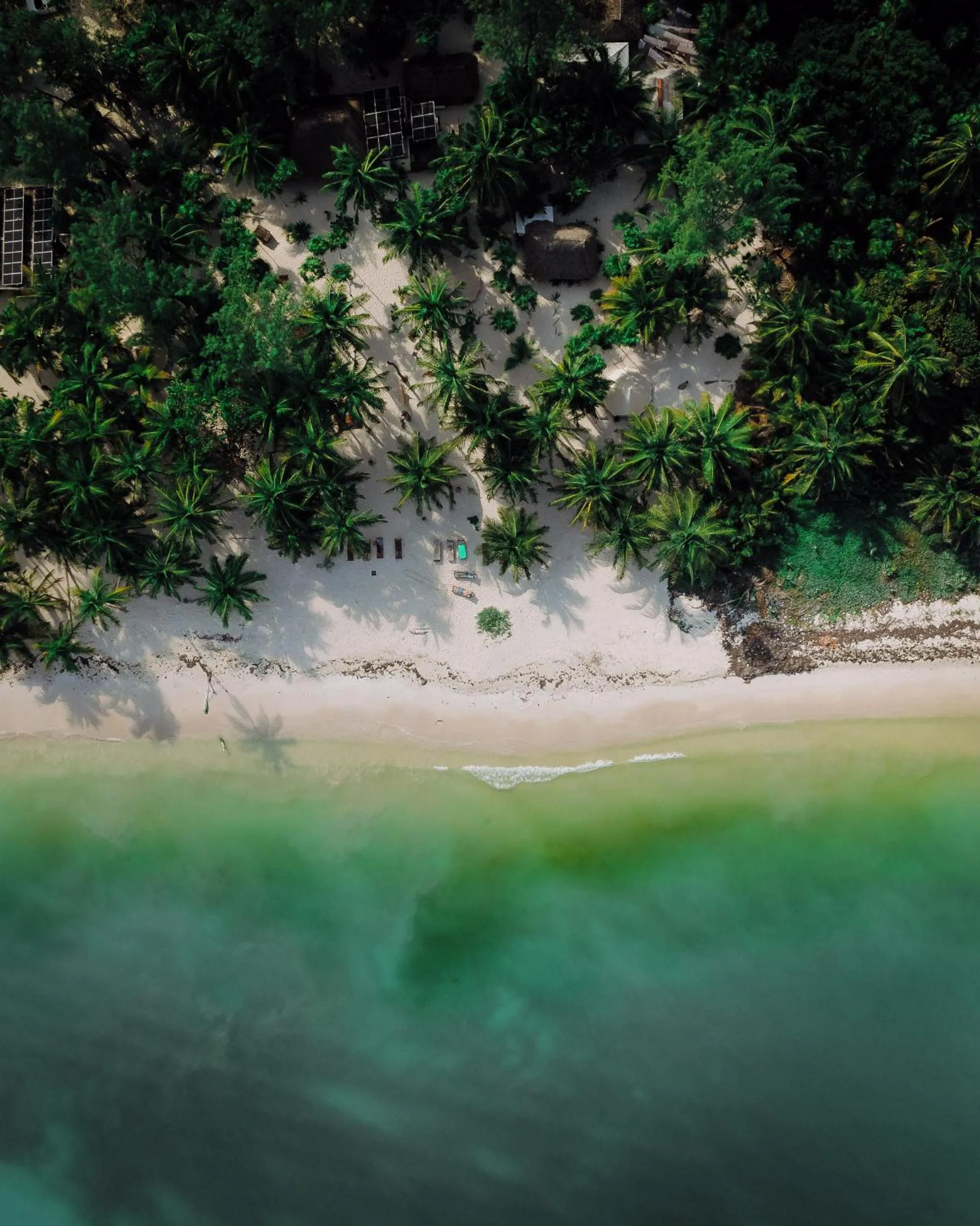 Natural landscape in Hotel Cielo y Selva
