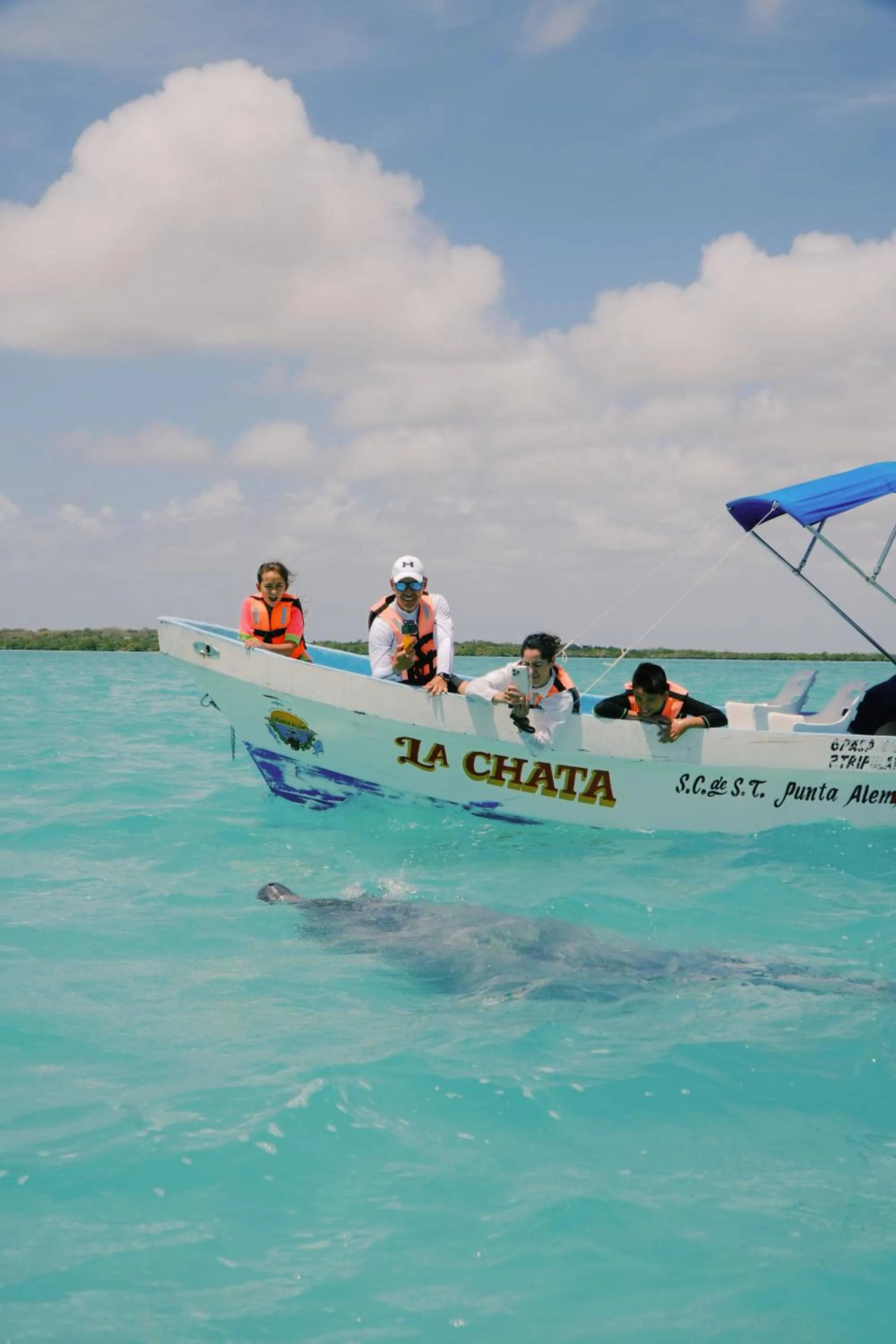 Natural landscape in Hotel Cielo y Selva