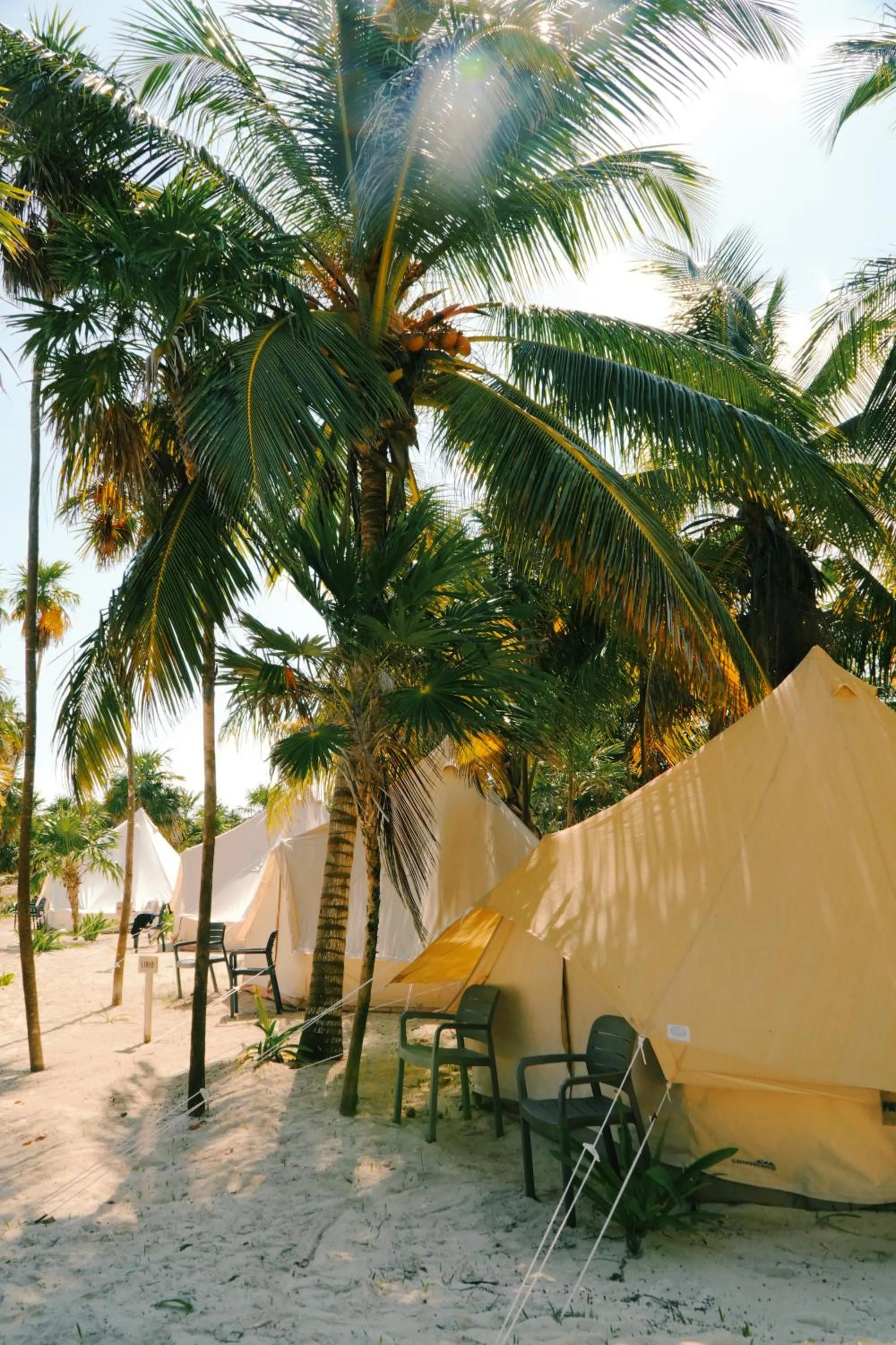 Day in Hotel Cielo y Selva