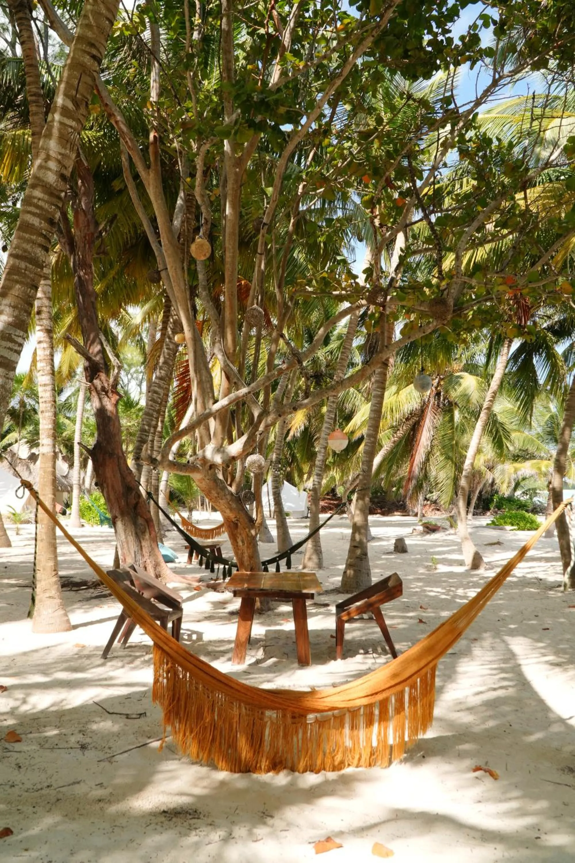 Garden view in Hotel Cielo y Selva