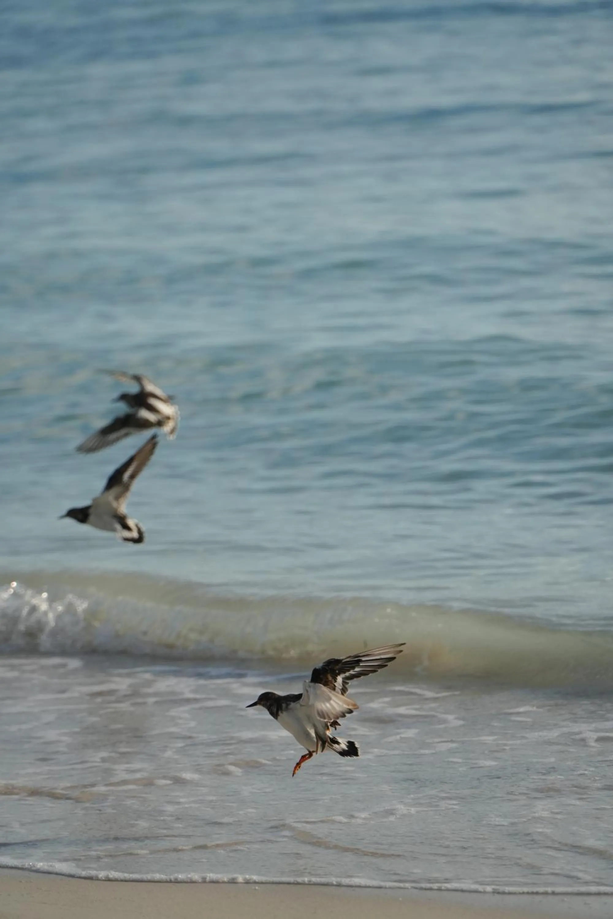 Natural landscape in Hotel Cielo y Selva