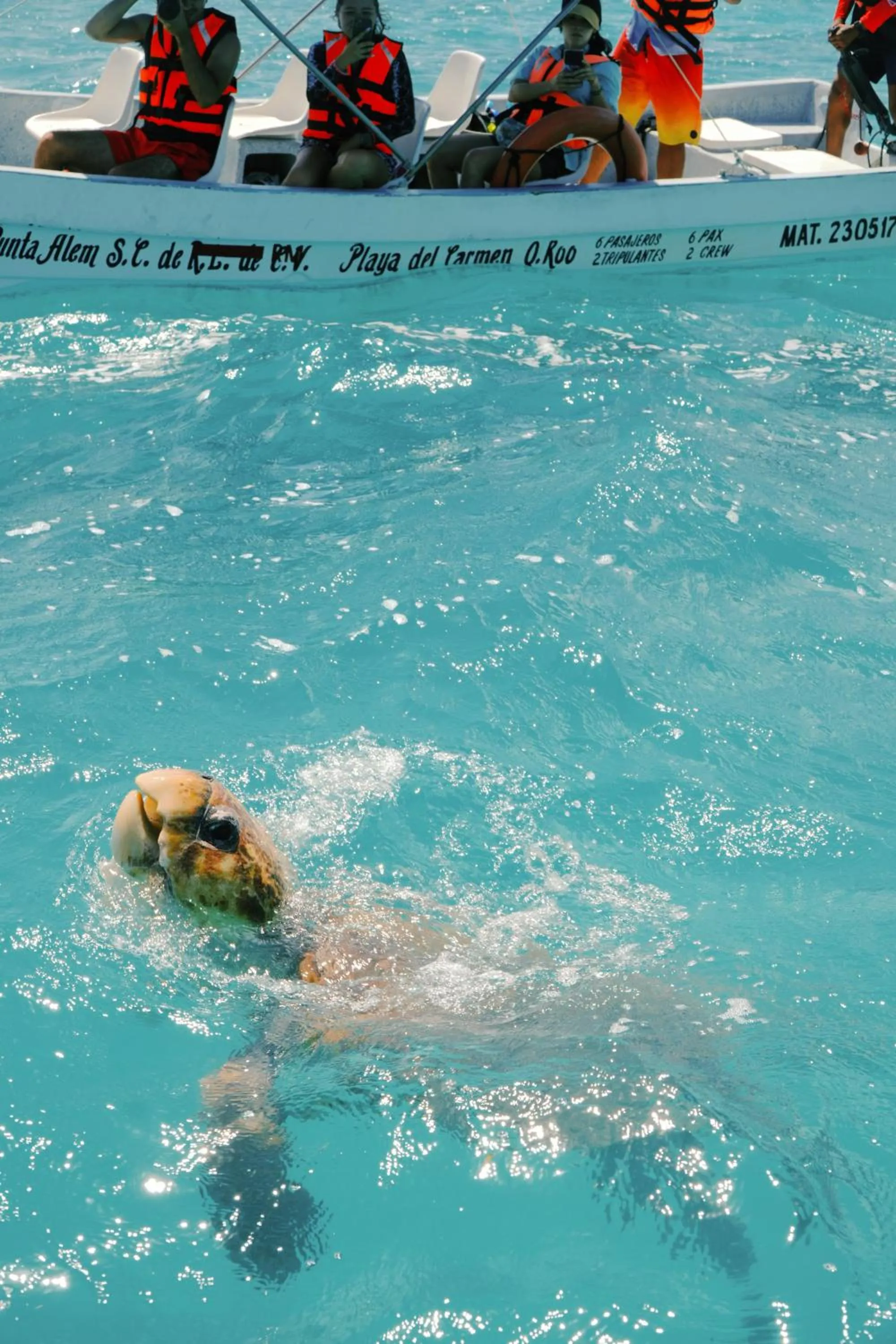 Activities in Hotel Cielo y Selva