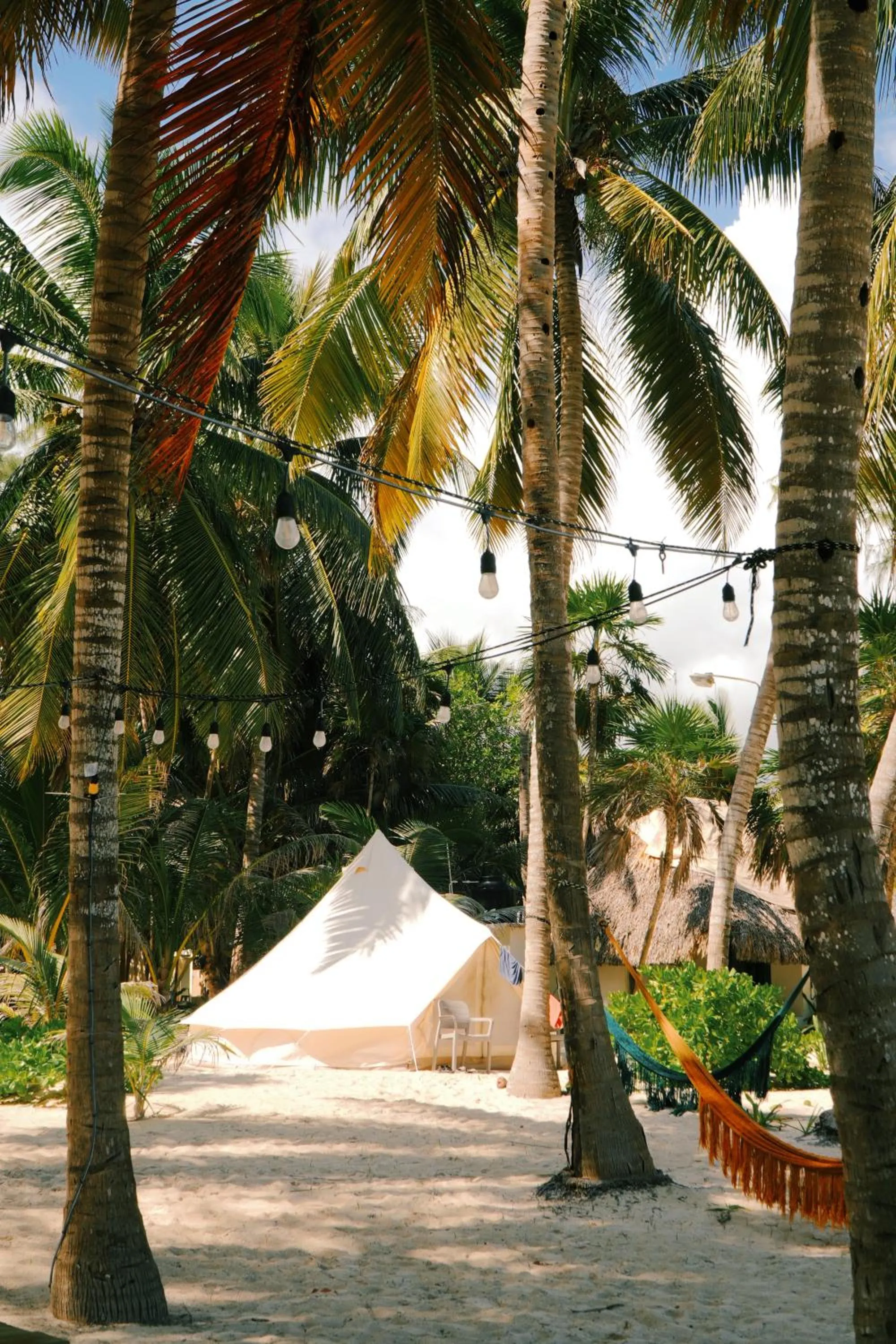 Garden view in Hotel Cielo y Selva