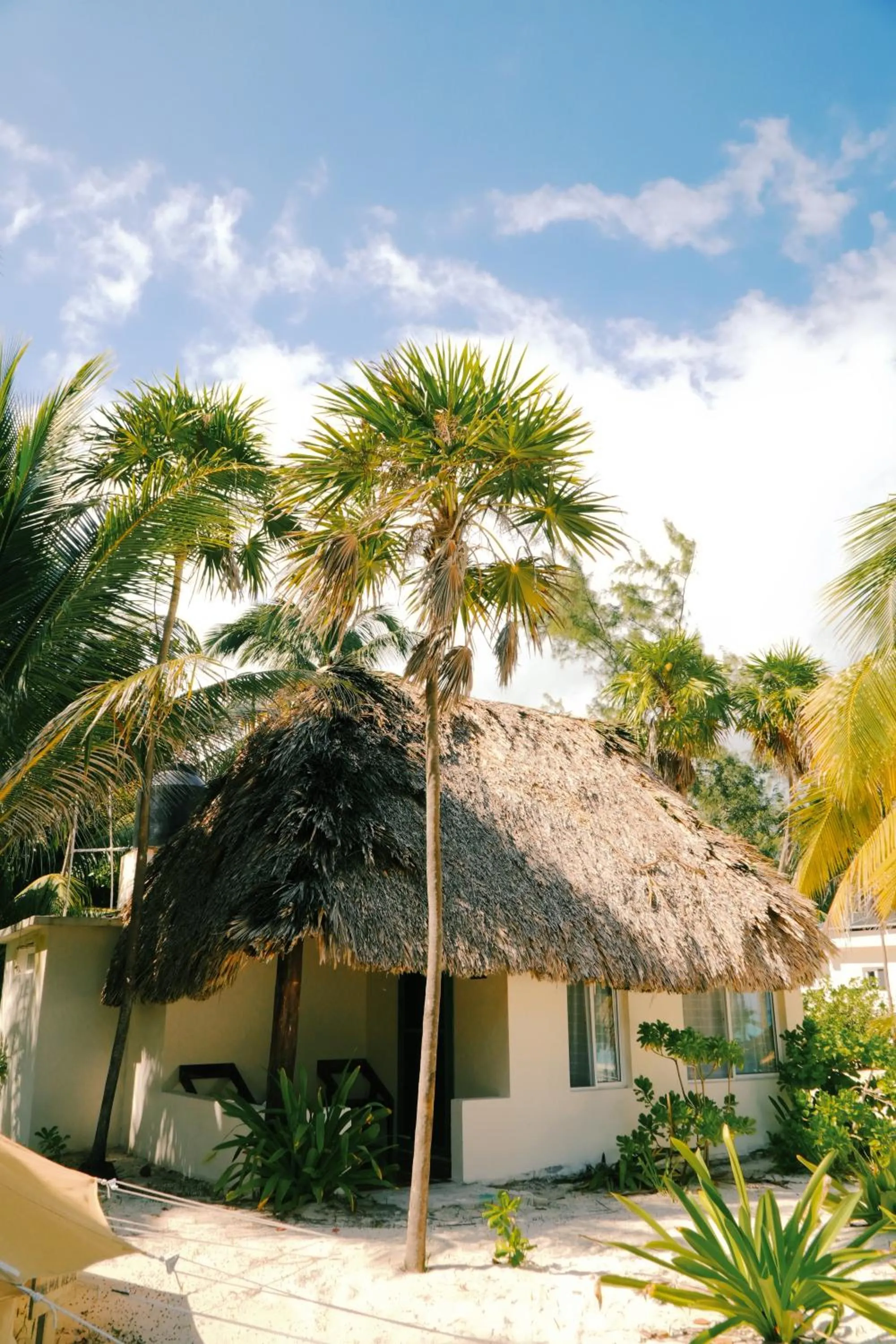 Day in Hotel Cielo y Selva