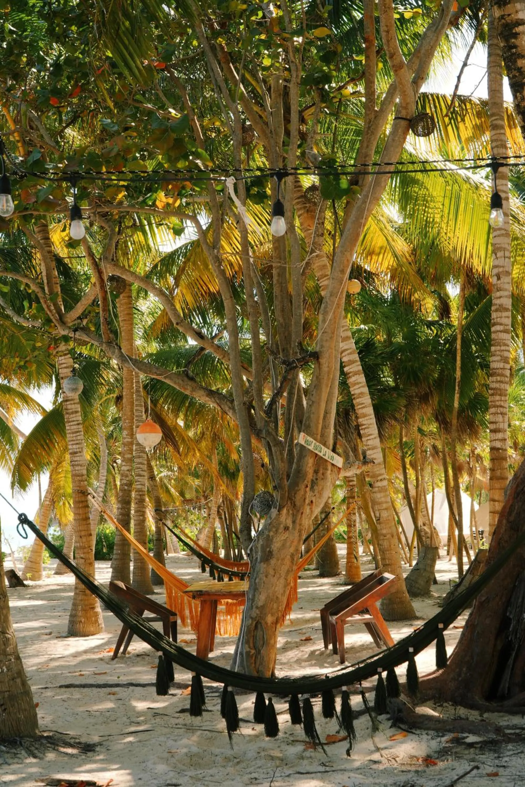 Beach in Hotel Cielo y Selva
