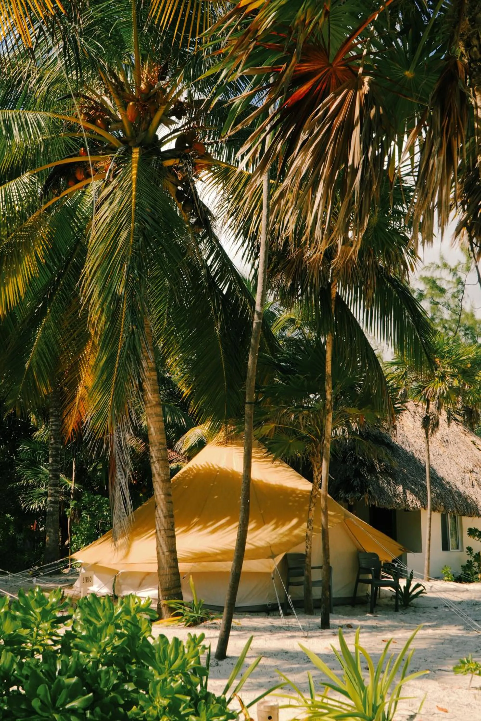 Garden view in Hotel Cielo y Selva