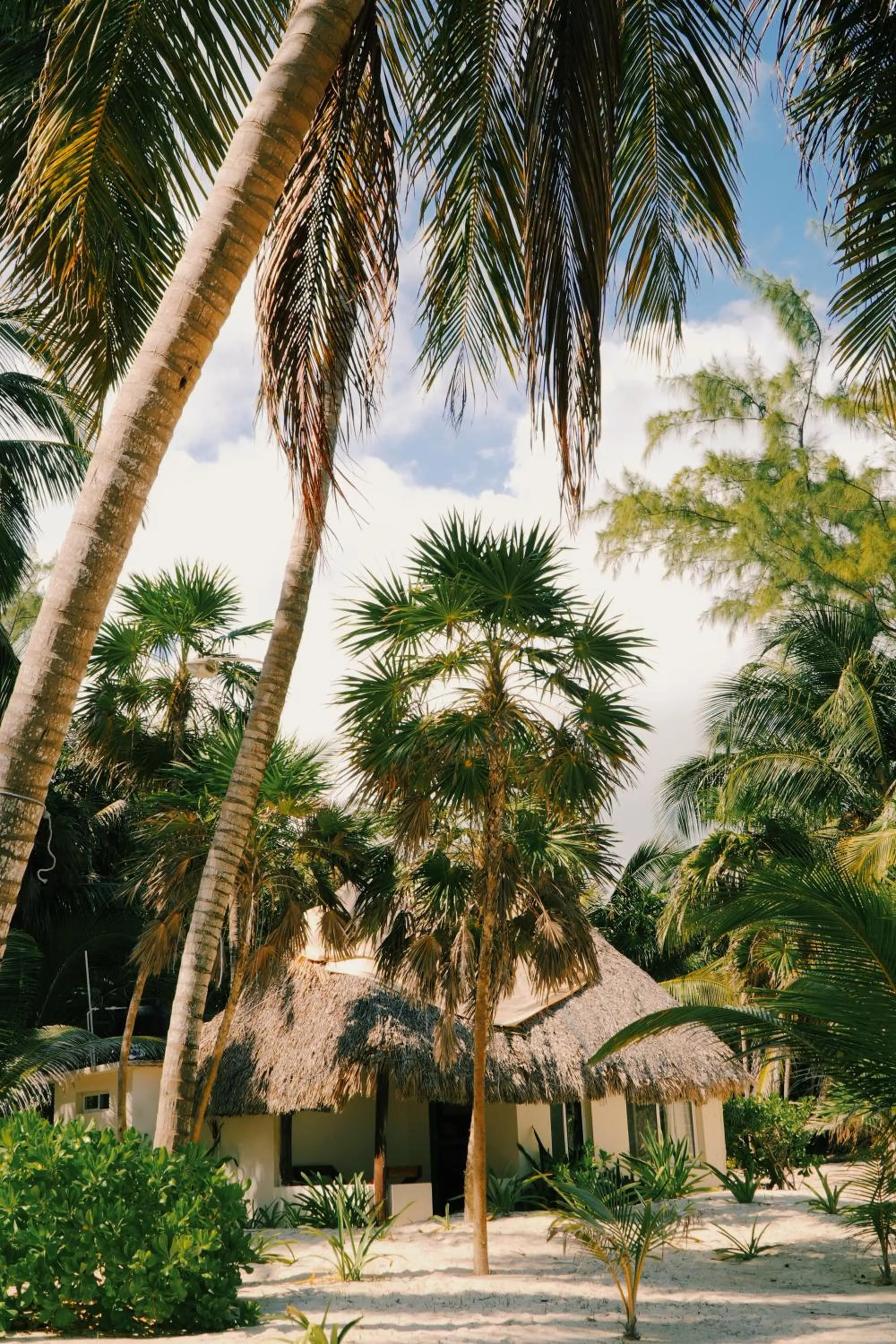Natural landscape in Hotel Cielo y Selva