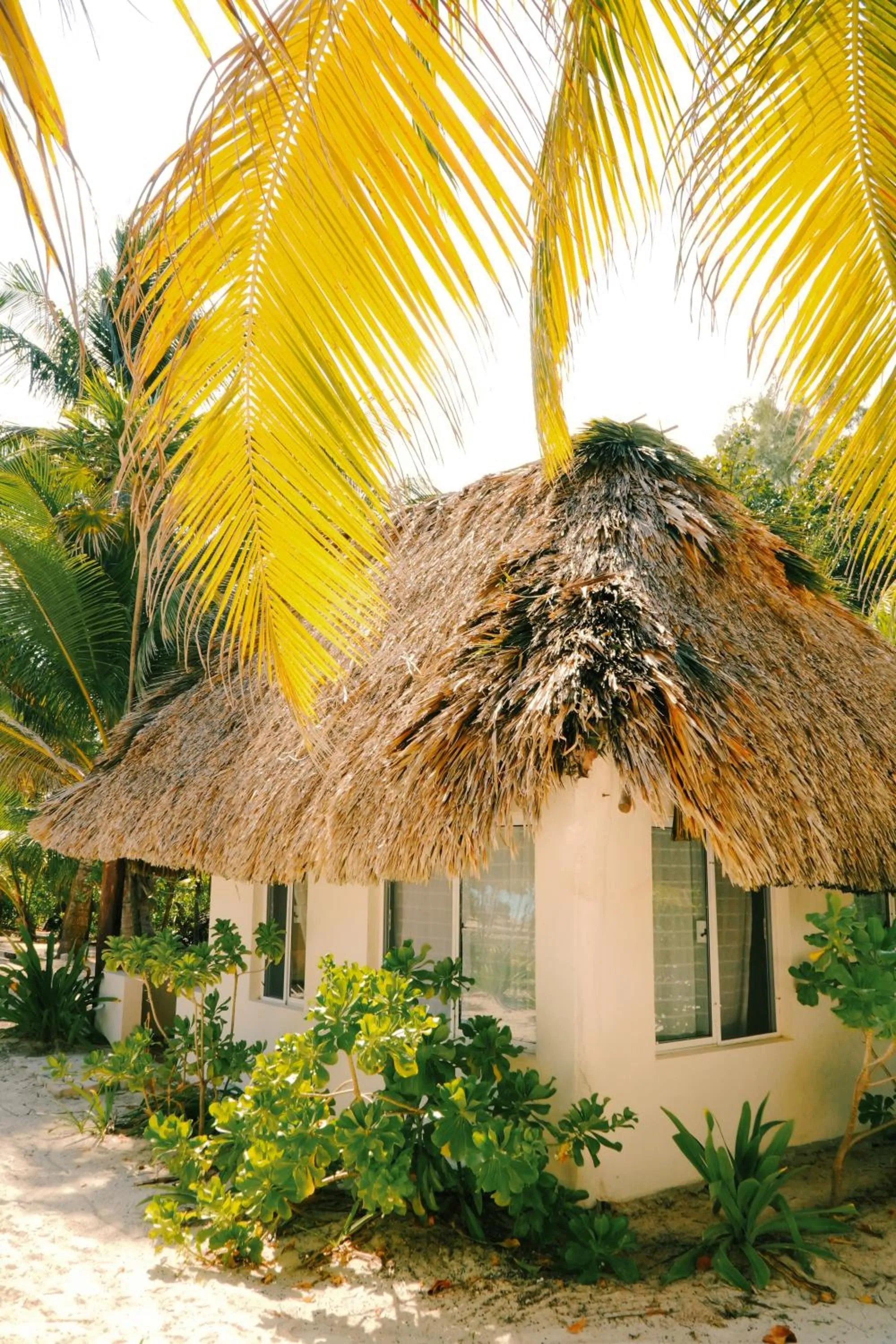 Garden in Hotel Cielo y Selva
