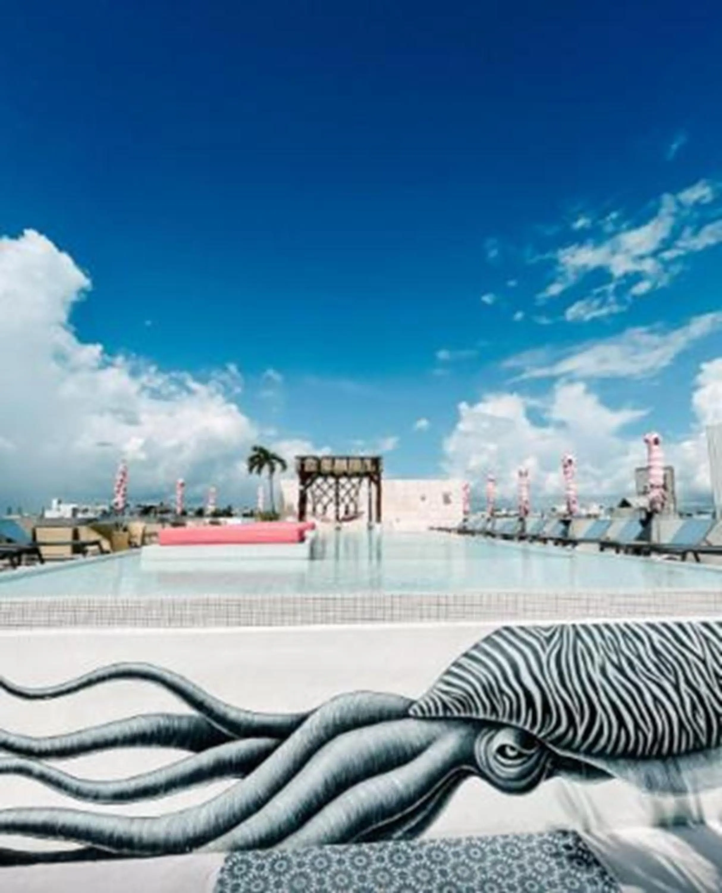 Swimming pool in Hotel The Palm