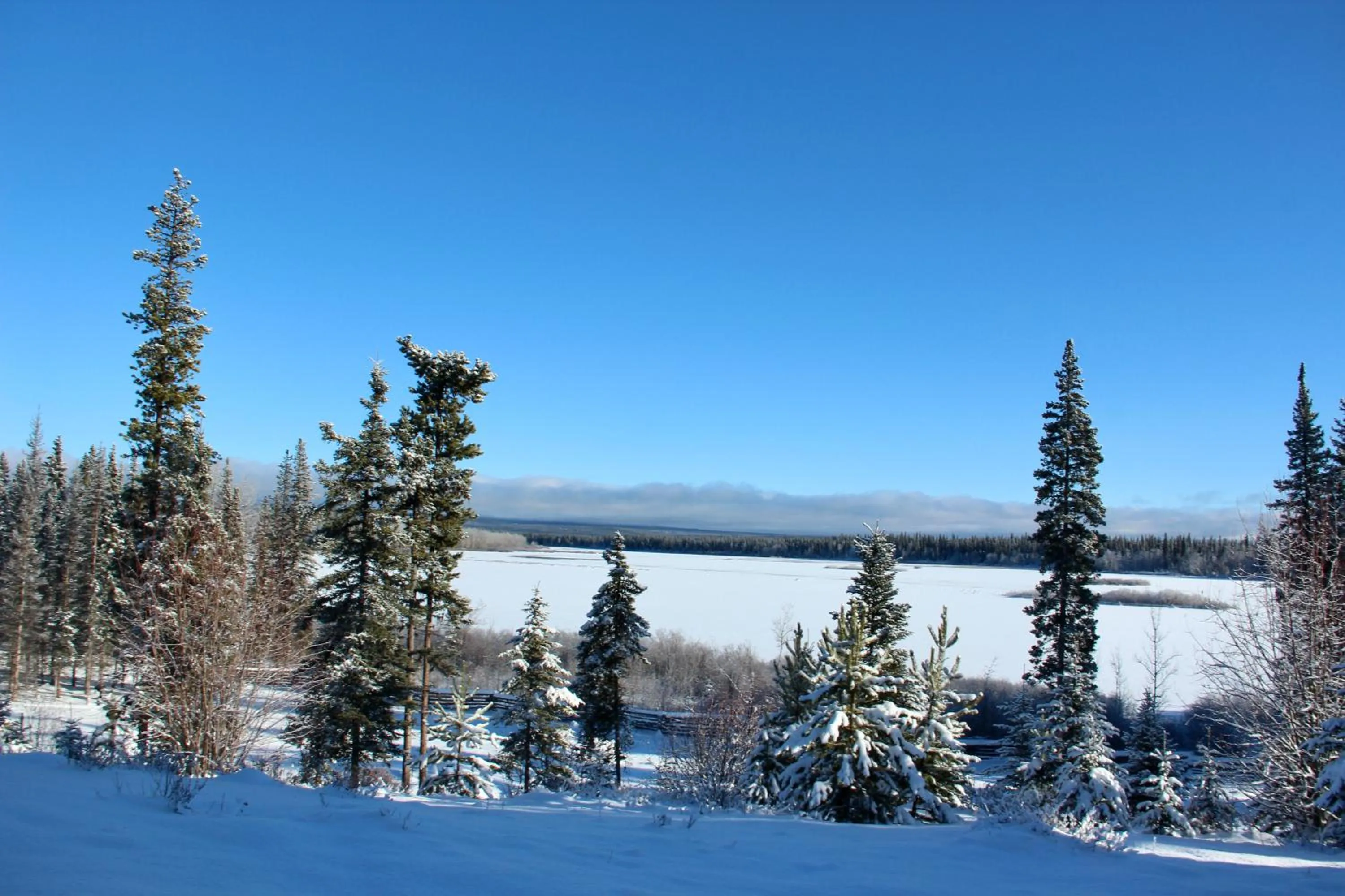 Winter in Red Cariboo Apartments