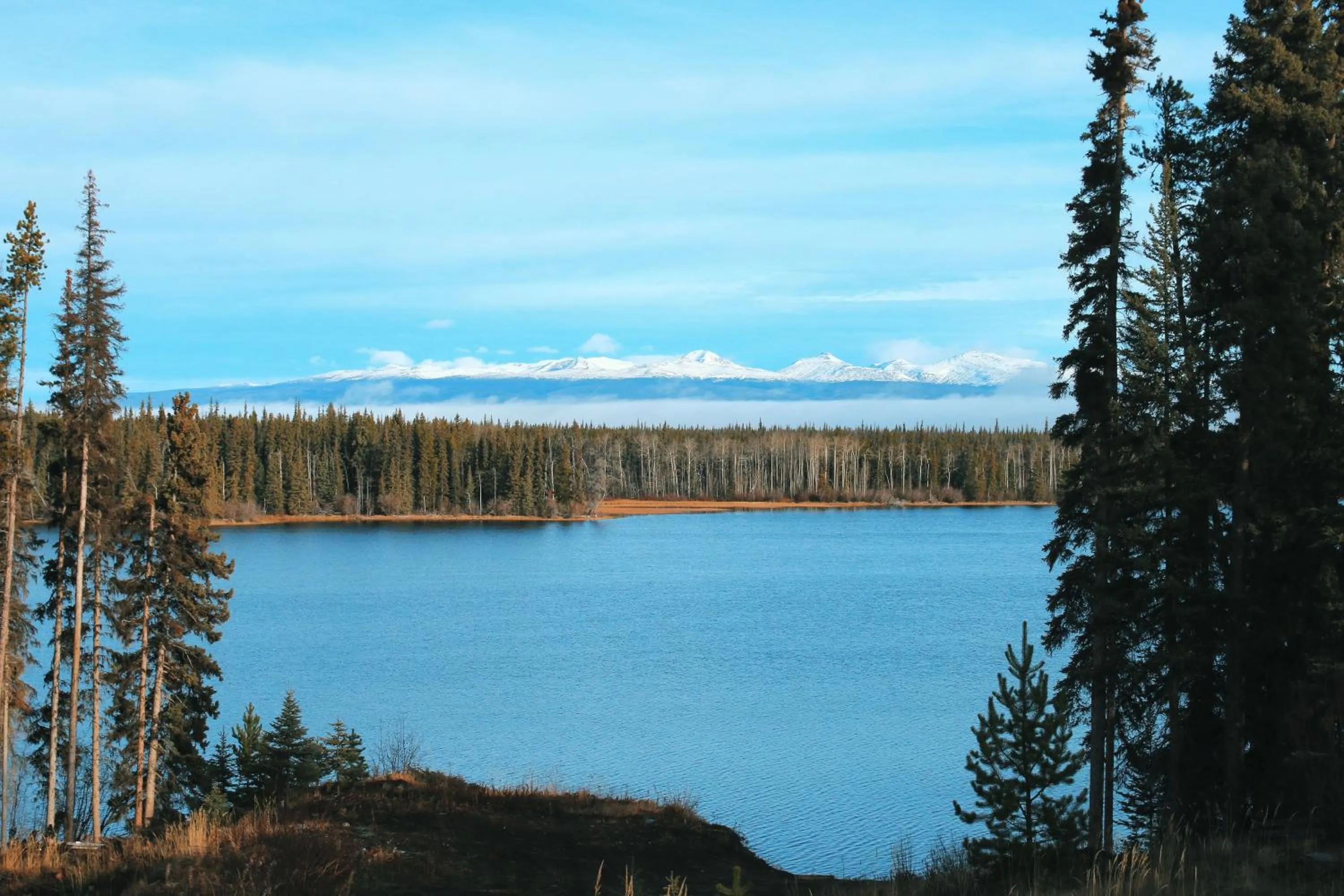 Day in Red Cariboo Apartments