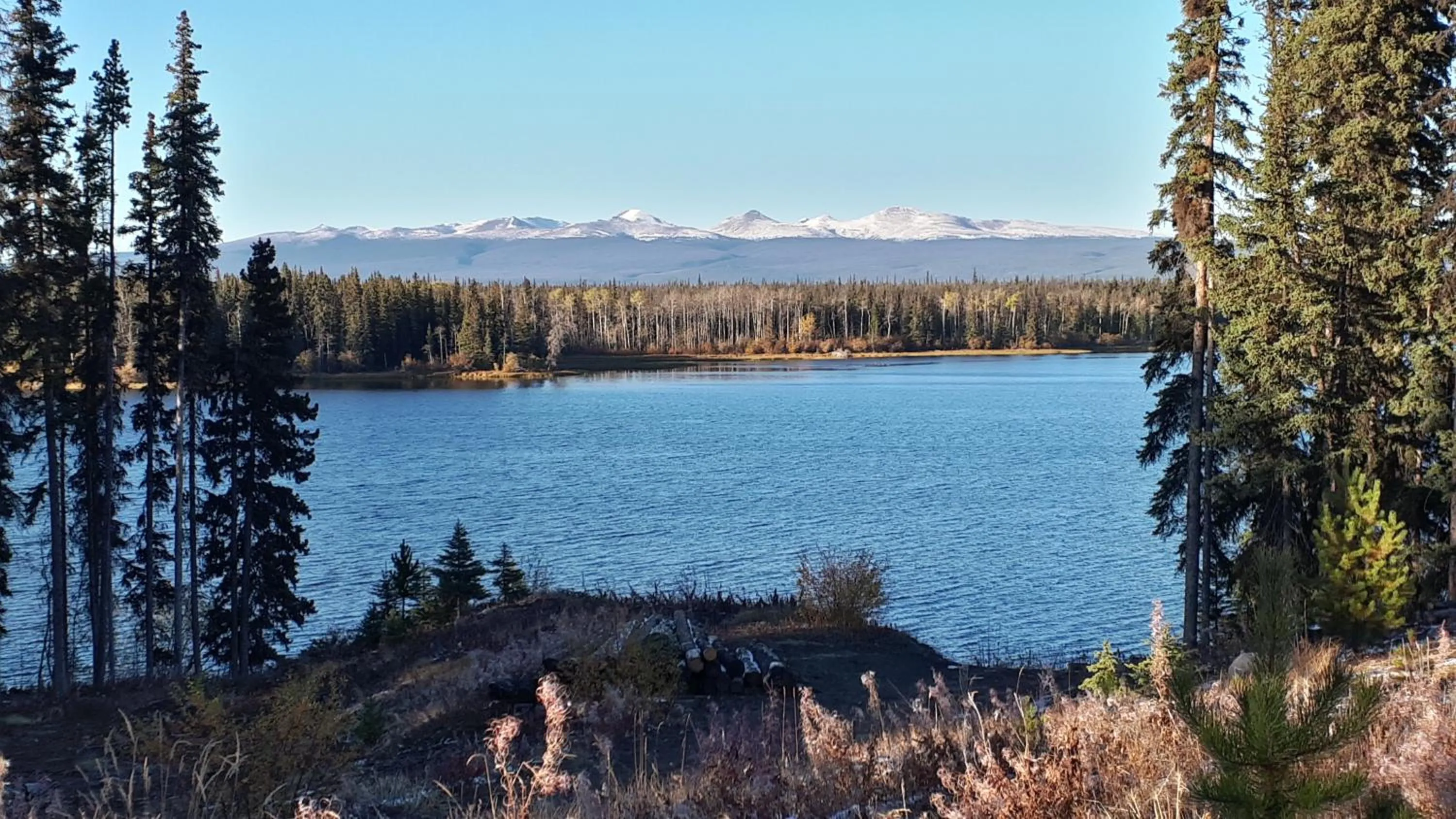 Natural landscape in Red Cariboo Apartments