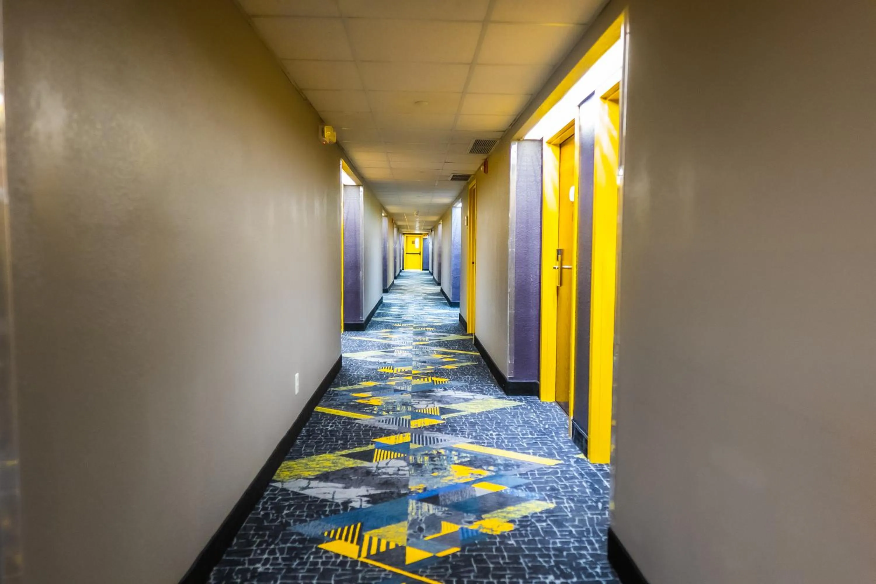 View (from property/room) in Baymont by Wyndham London KY