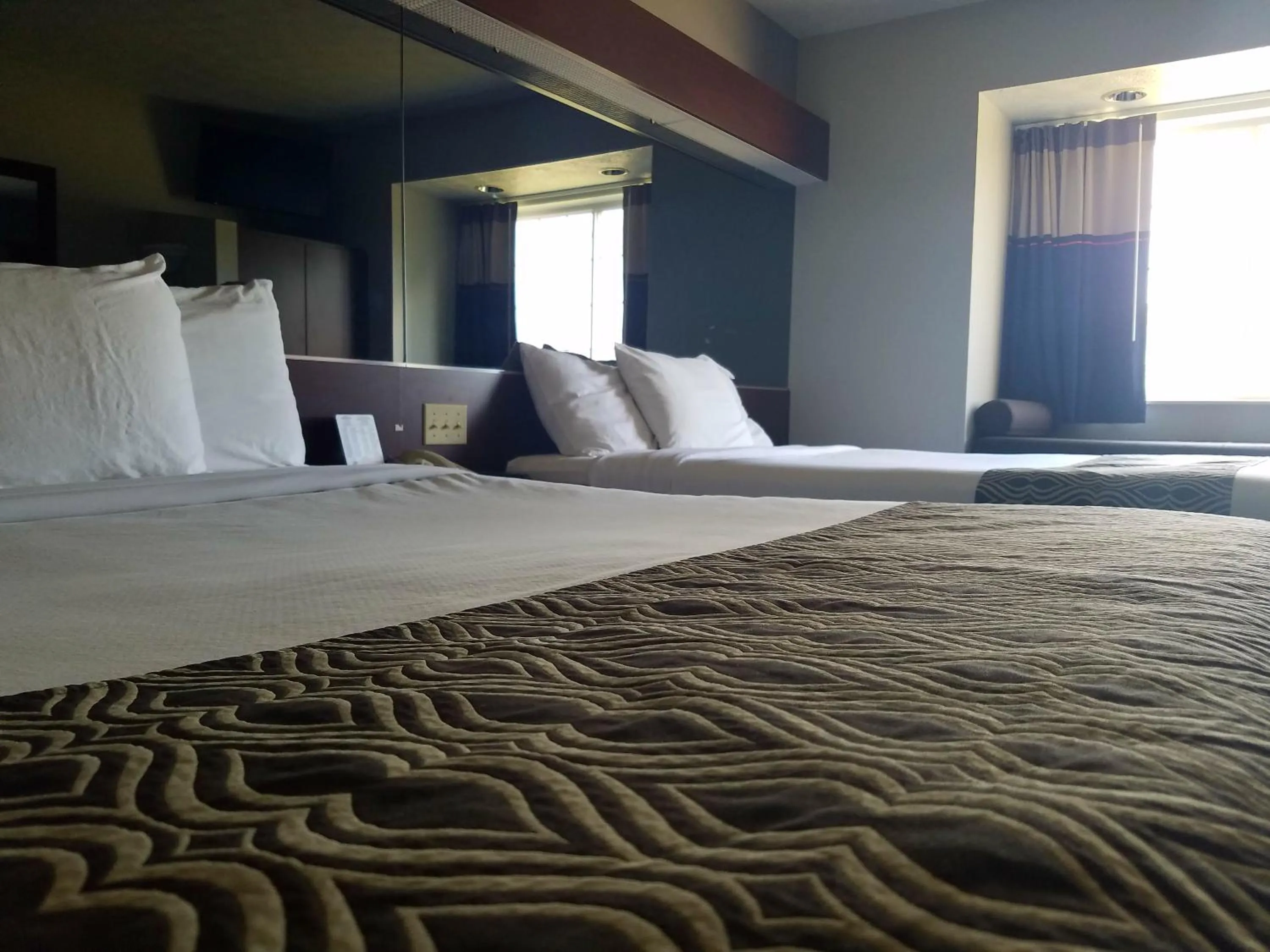 Bed in Microtel Inn & Suites by Wyndham London