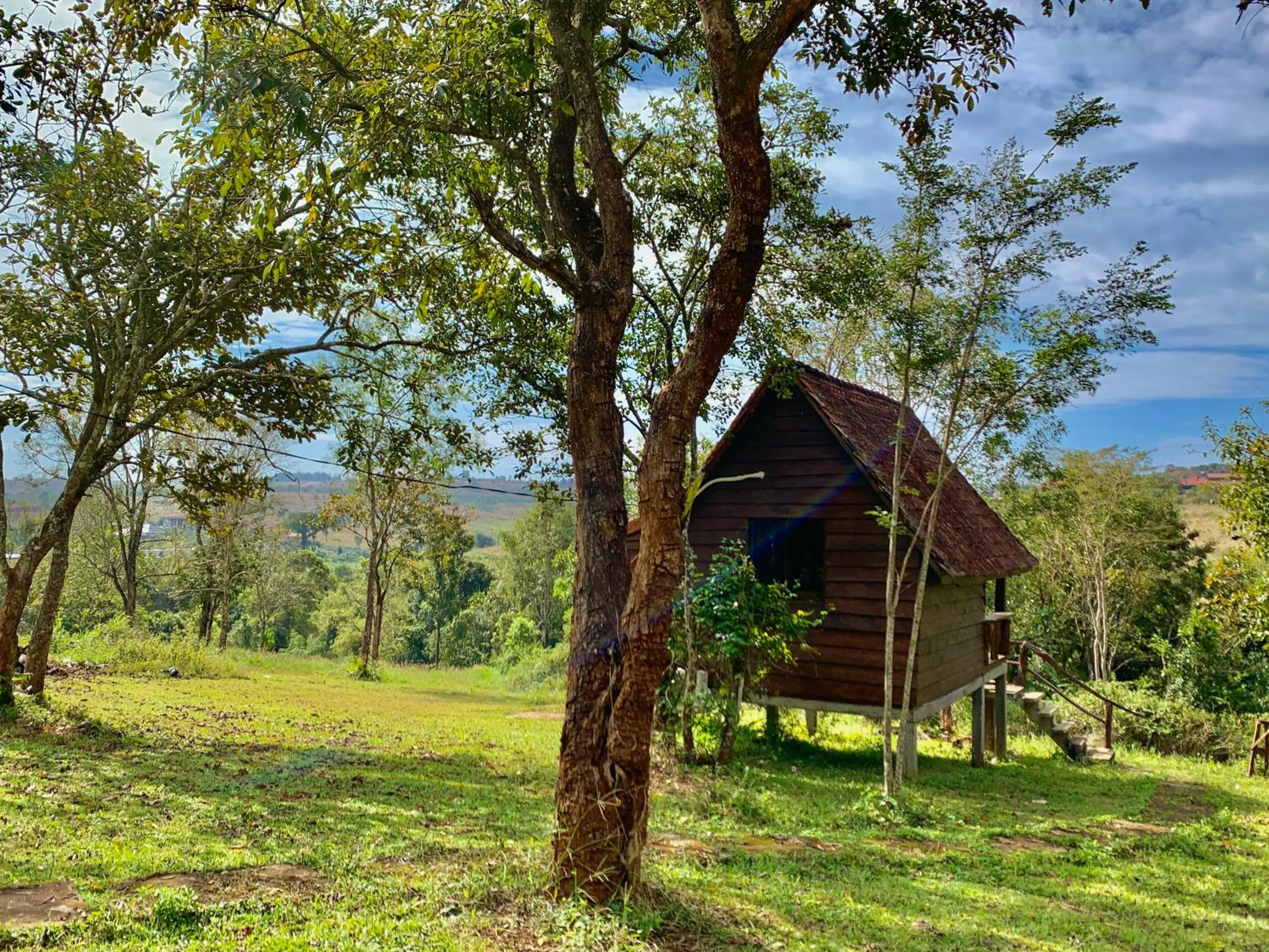 View (from property/room) in Nature Lodge