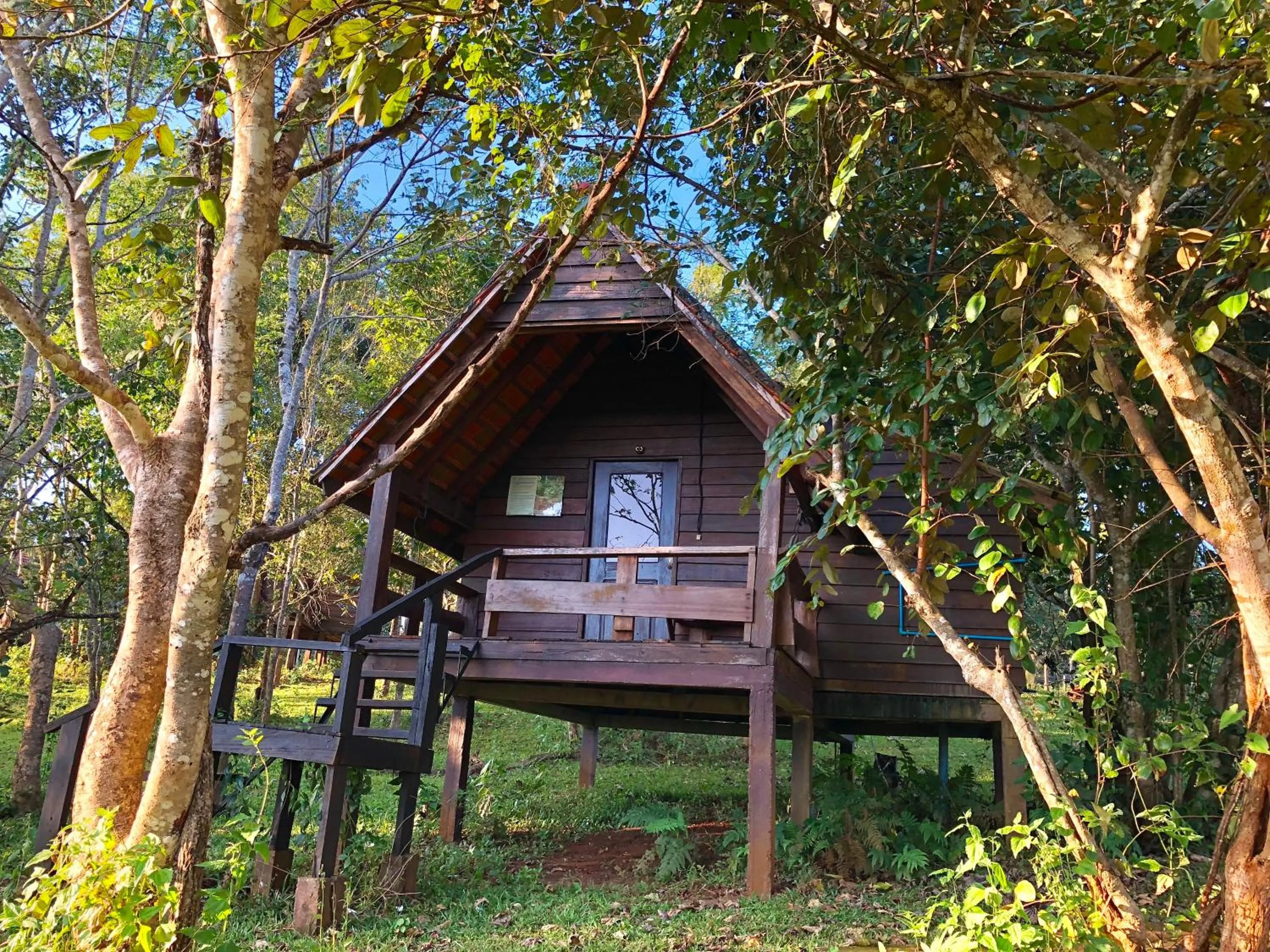 Photo of the whole room in Nature Lodge