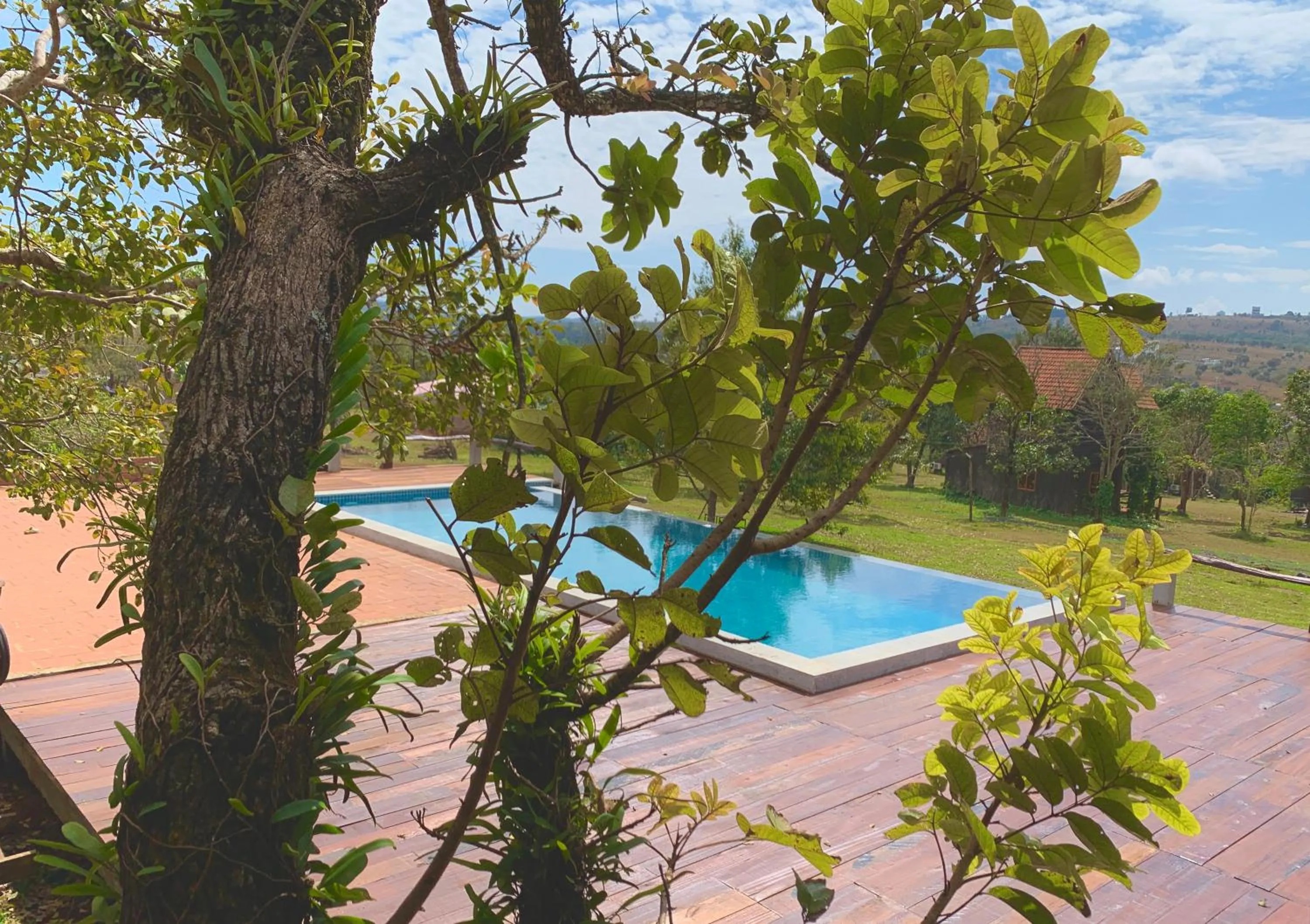 Swimming pool in Nature Lodge