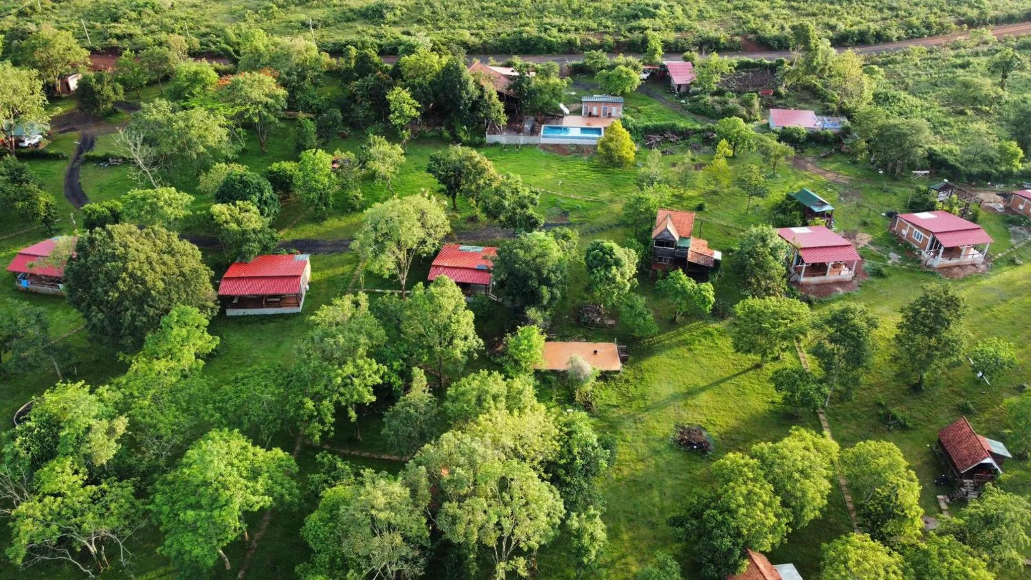 Bird's eye view in Nature Lodge