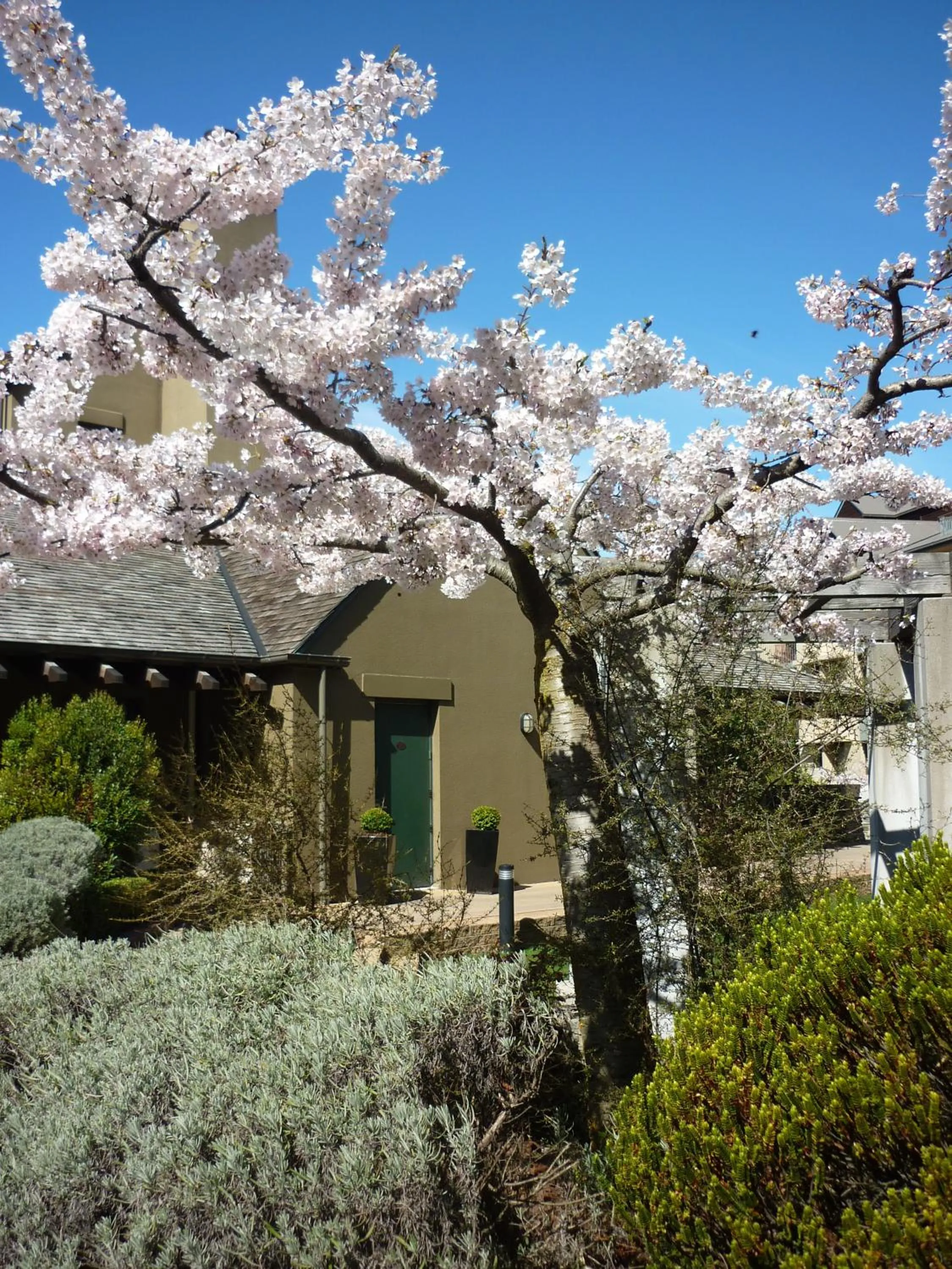 Property building in Rendezvous Heritage Hotel Queenstown