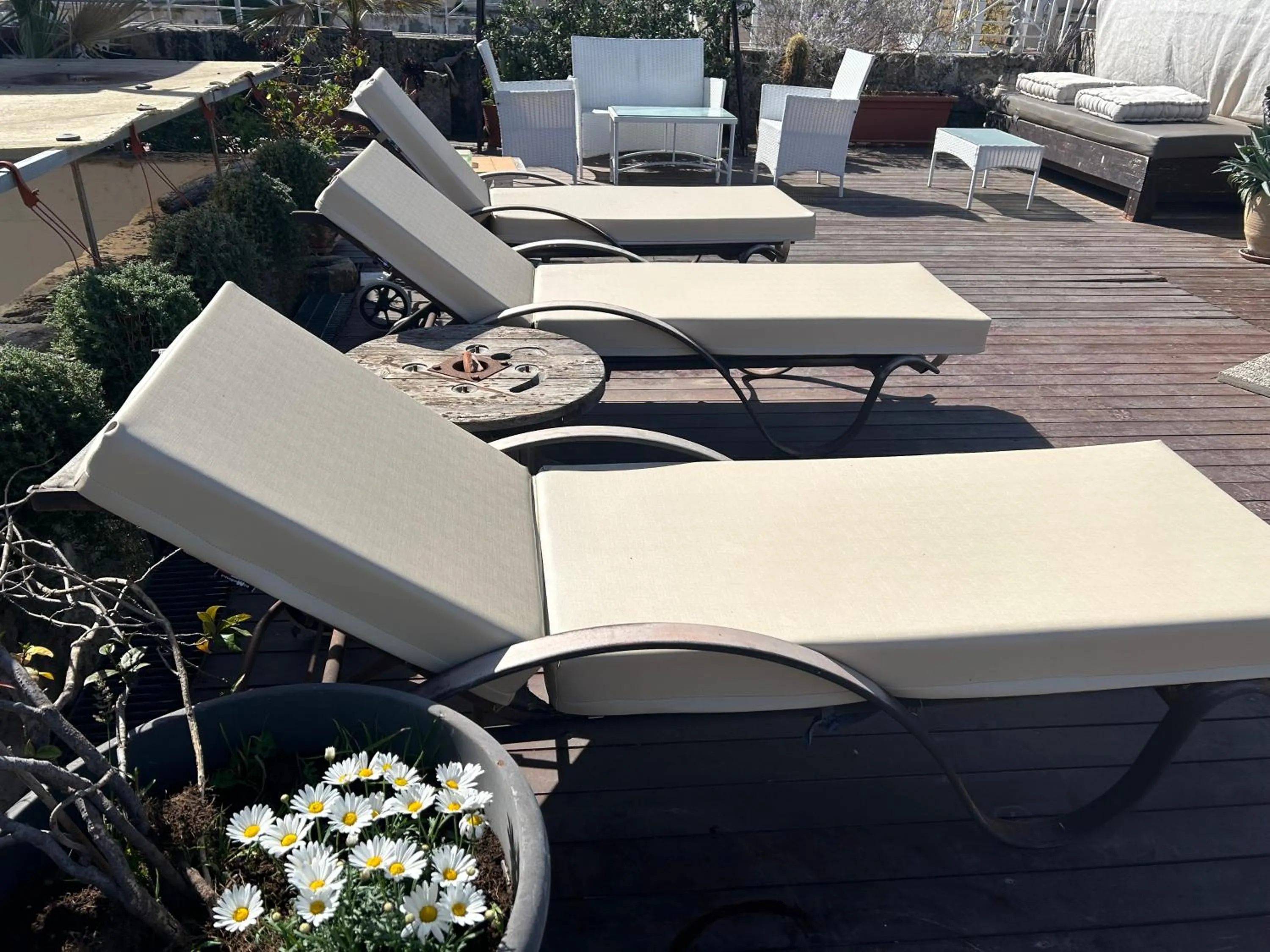 Solarium in Azzurretta Guest House