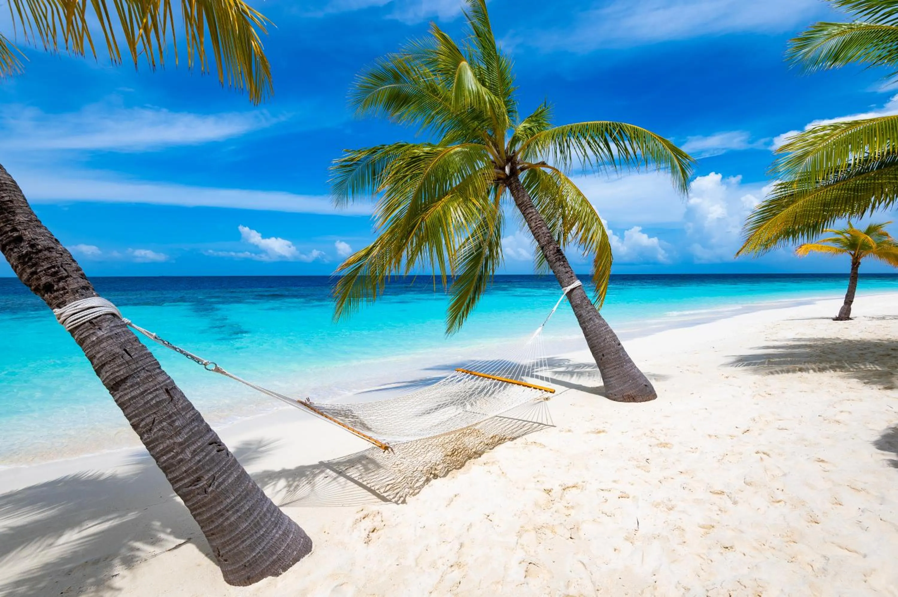 Beach in Diamonds Athuruga Maldives Resort & Spa