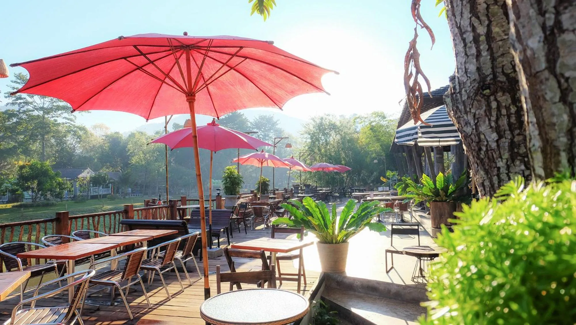 Restaurant/places to eat in Pai River Corner