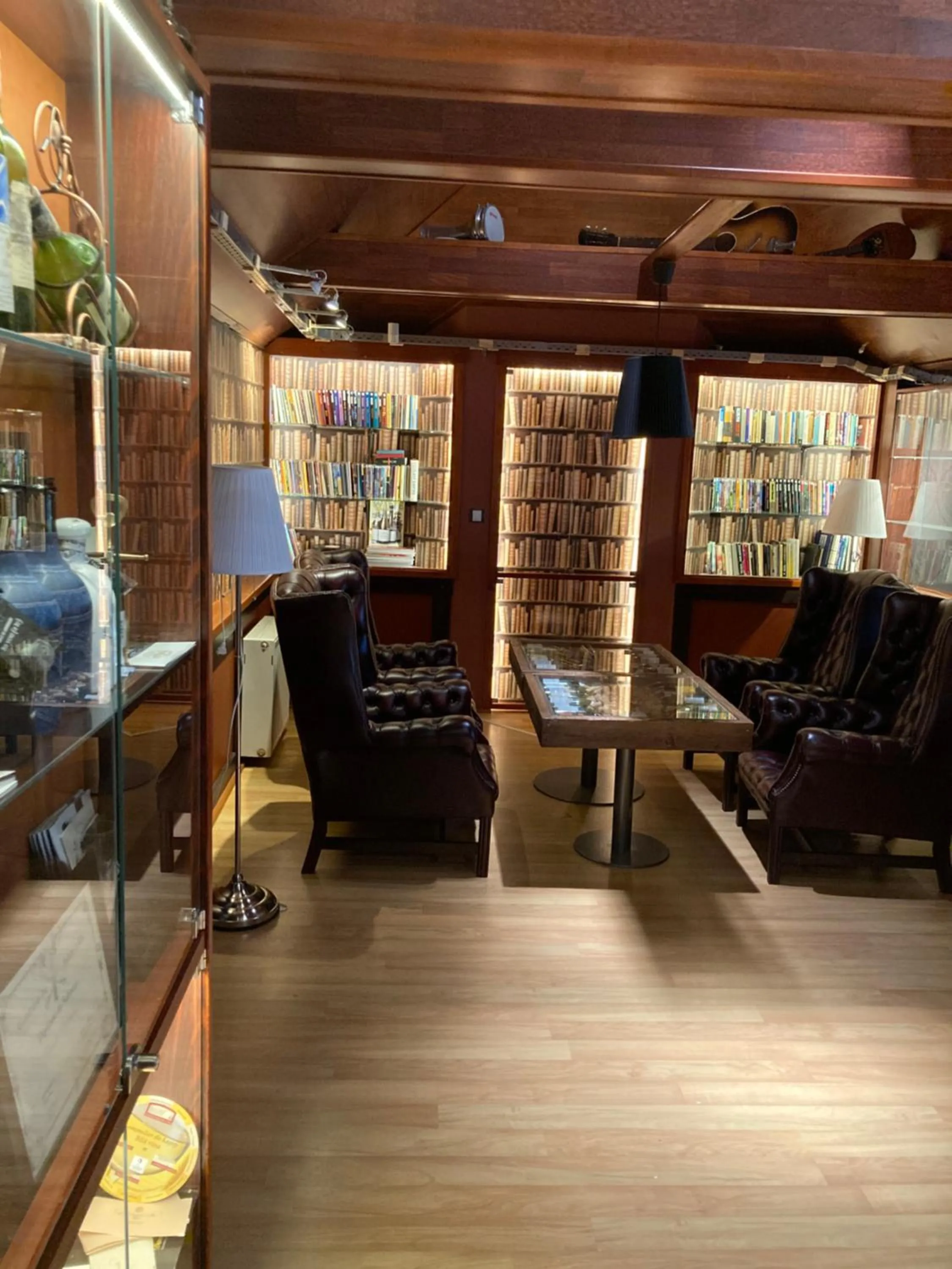 Library in Hotel Berg