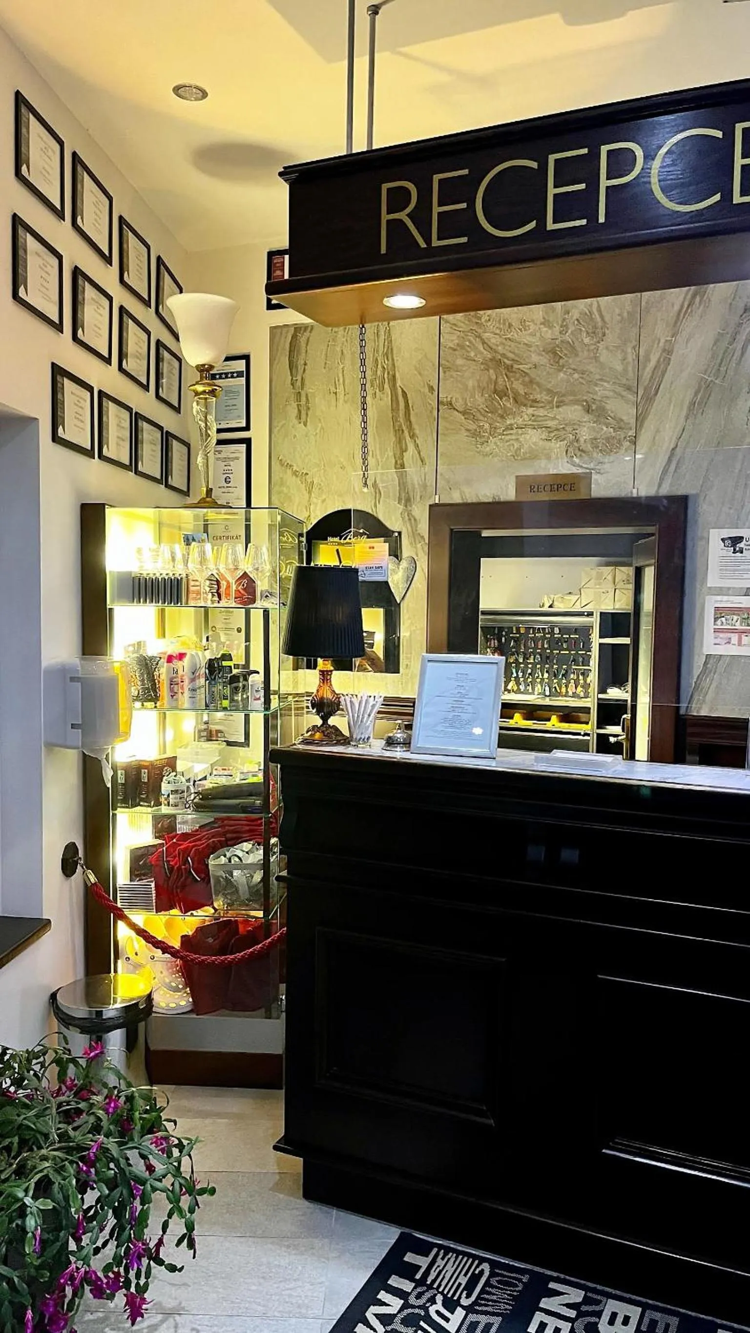 Lobby or reception in Hotel Berg