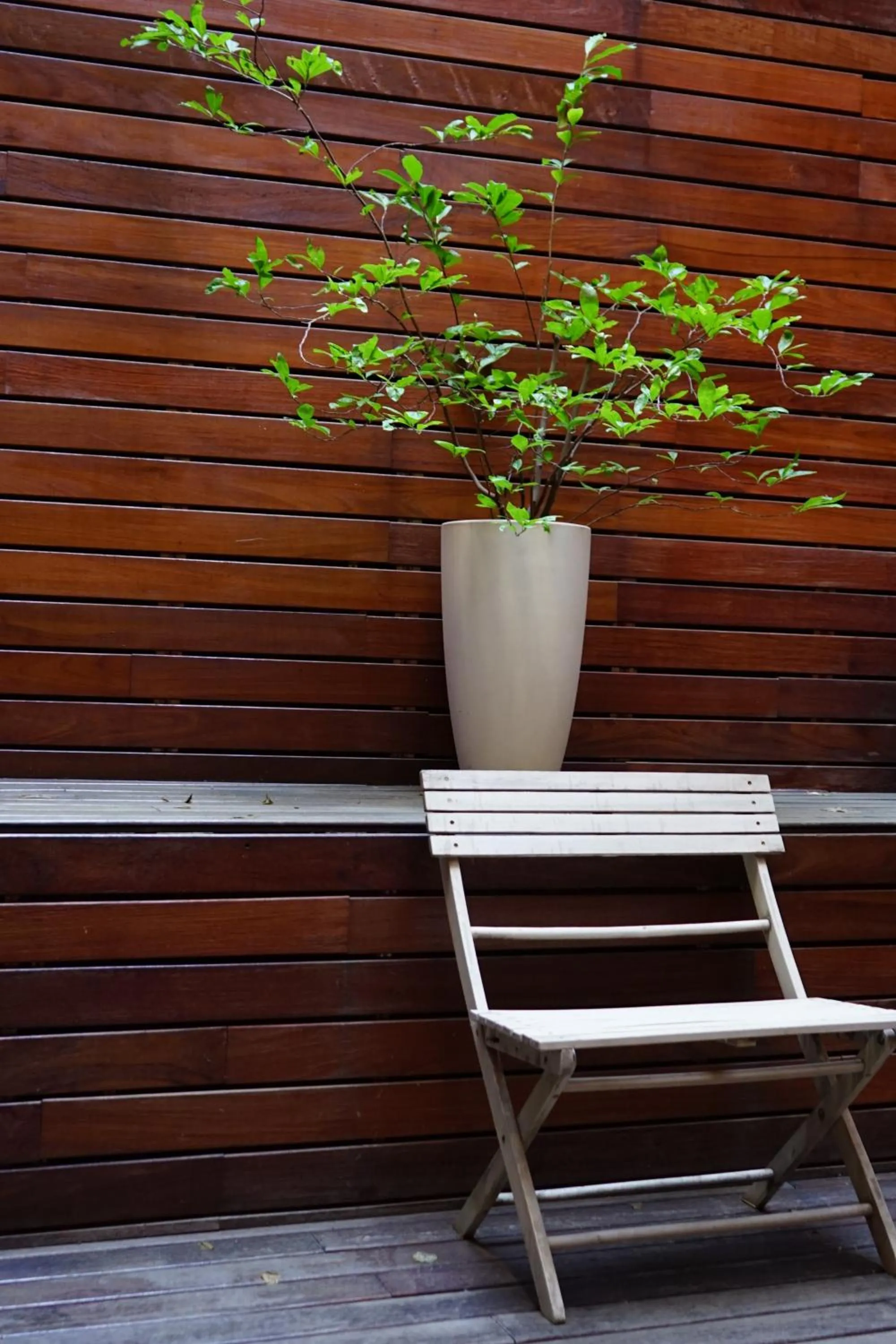 Patio in Hotel De Martin