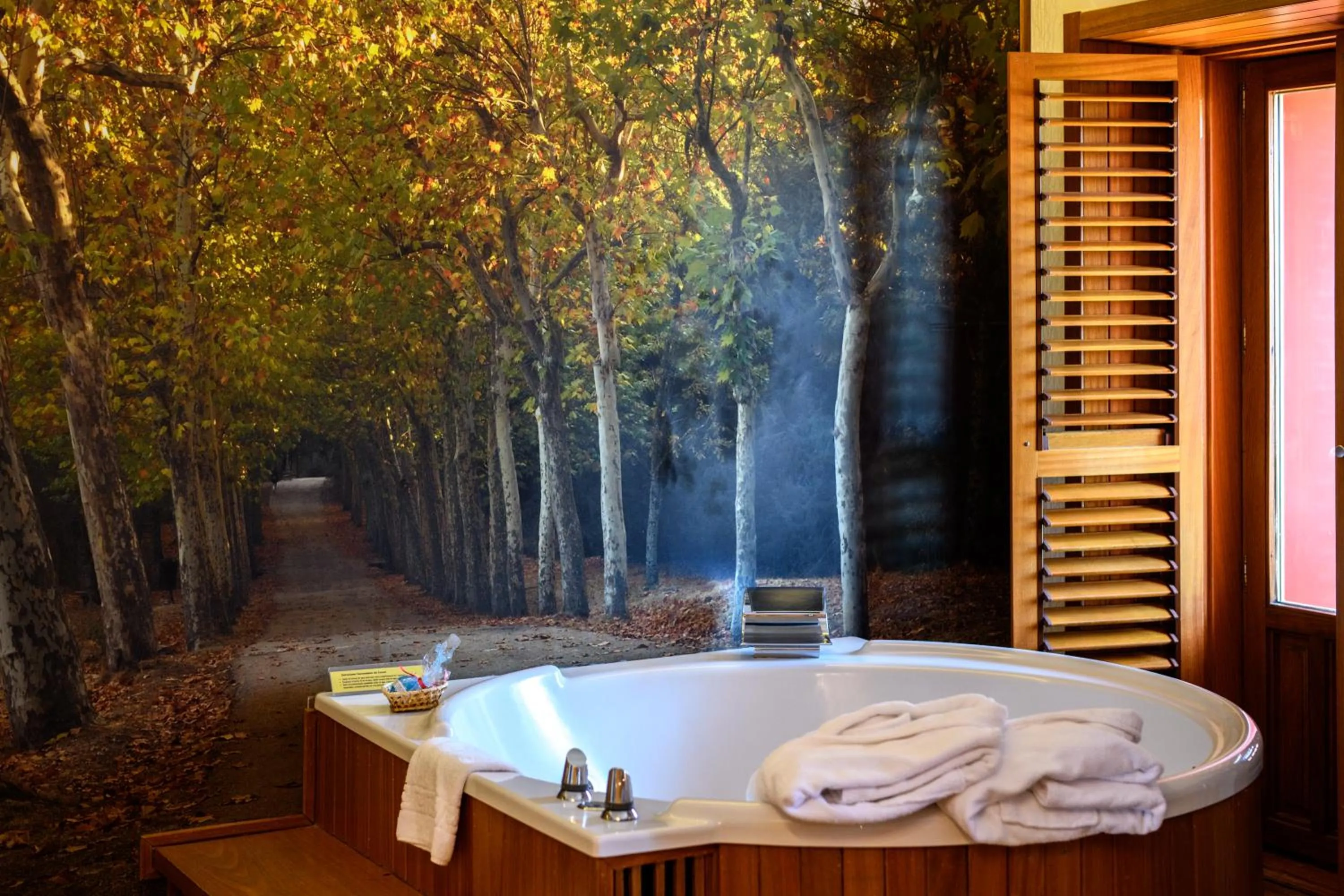 Hot Tub in Hotel De Martin