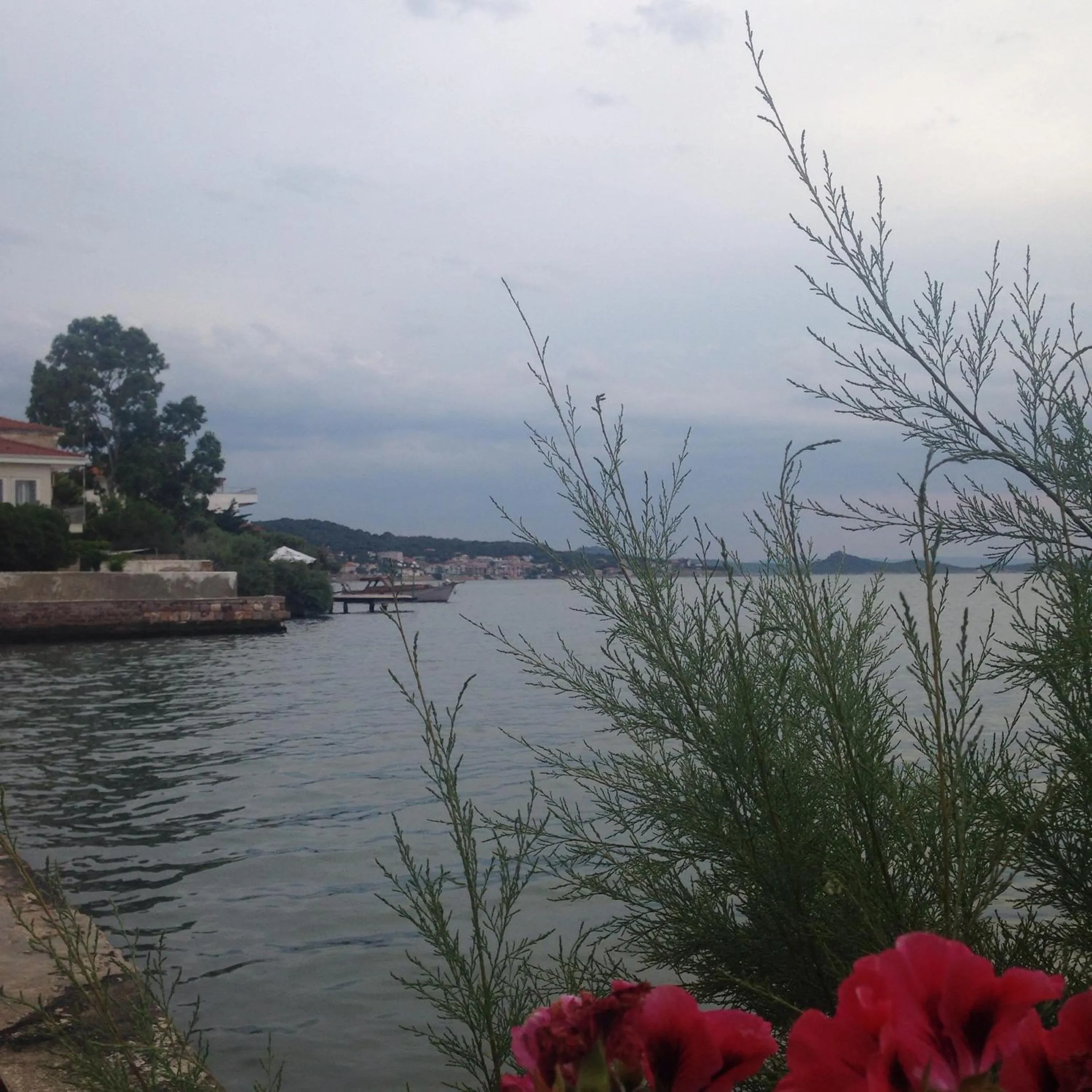 Neighbourhood in Macaron Konagi