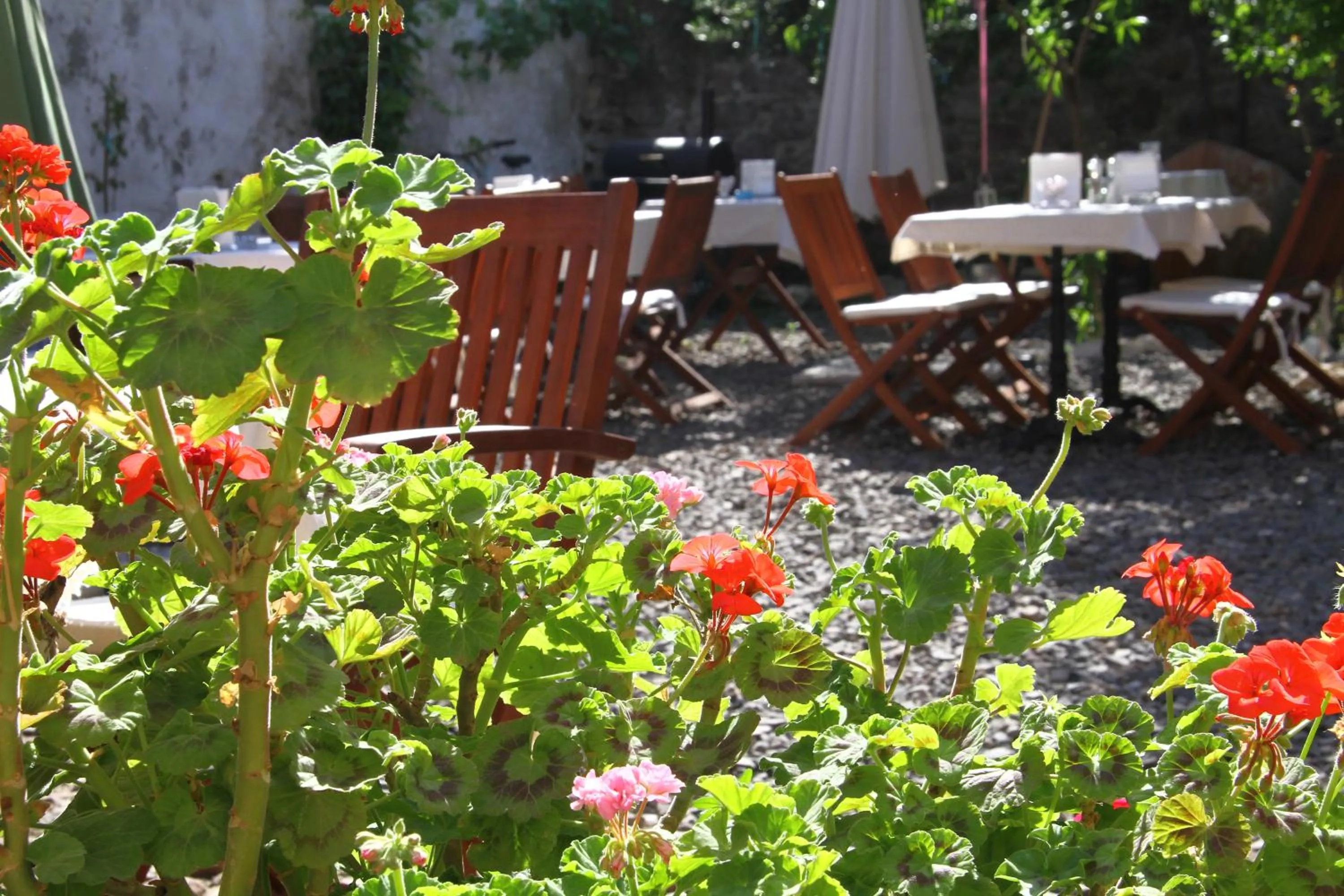 Garden in Macaron Konagi