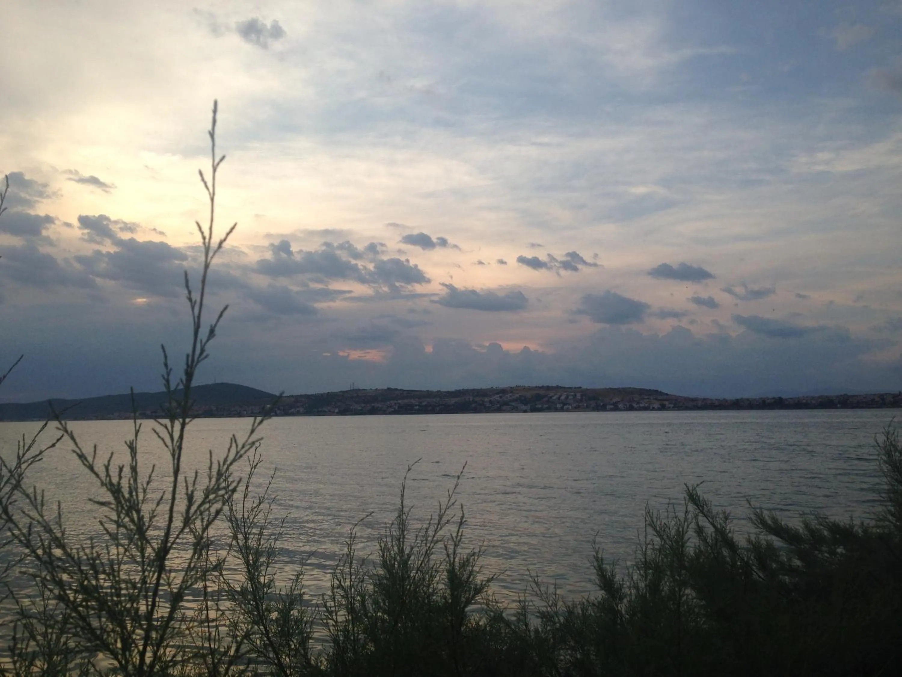 Other in Macaron Konagi