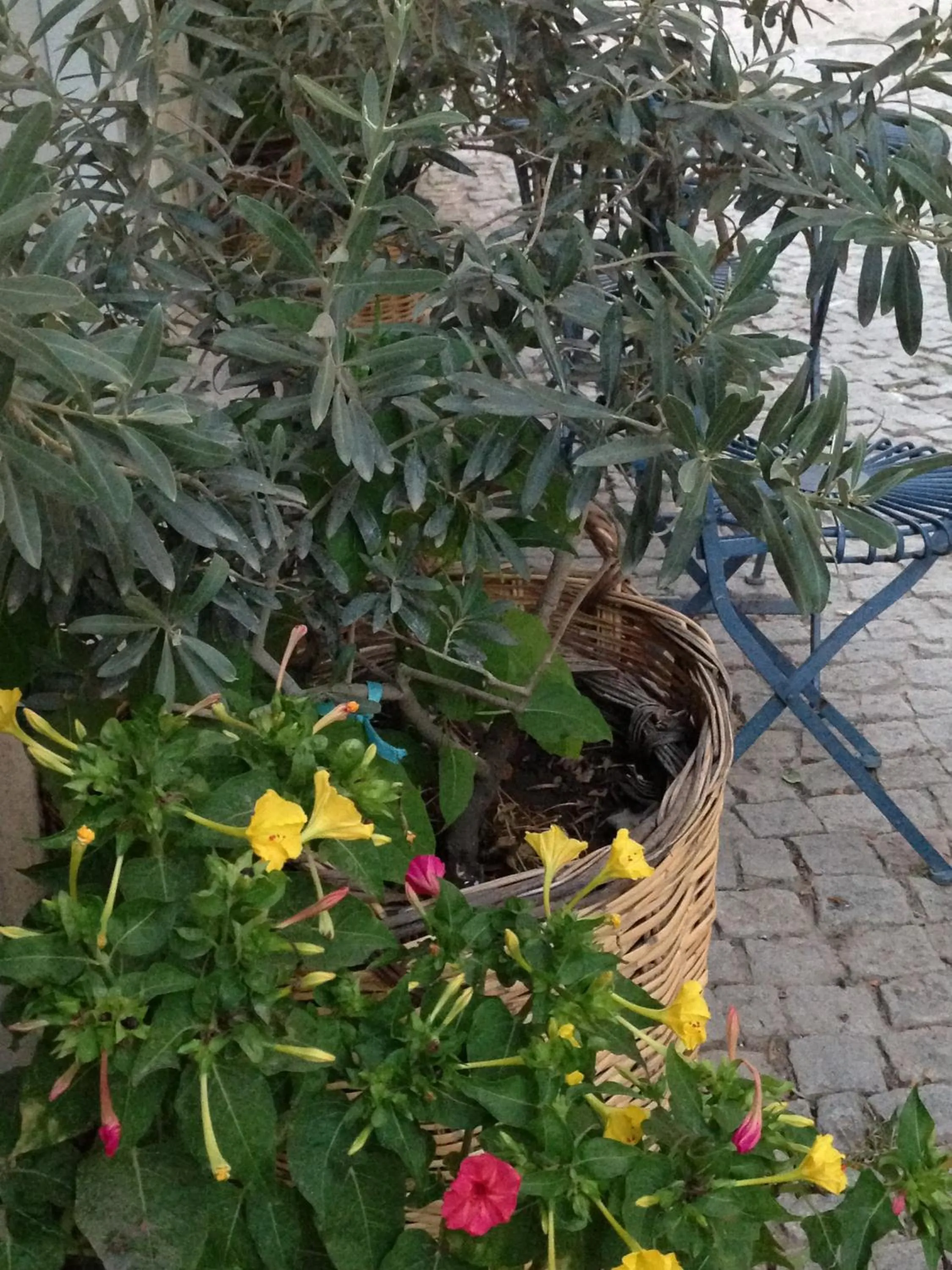 Facade/entrance in Macaron Konagi