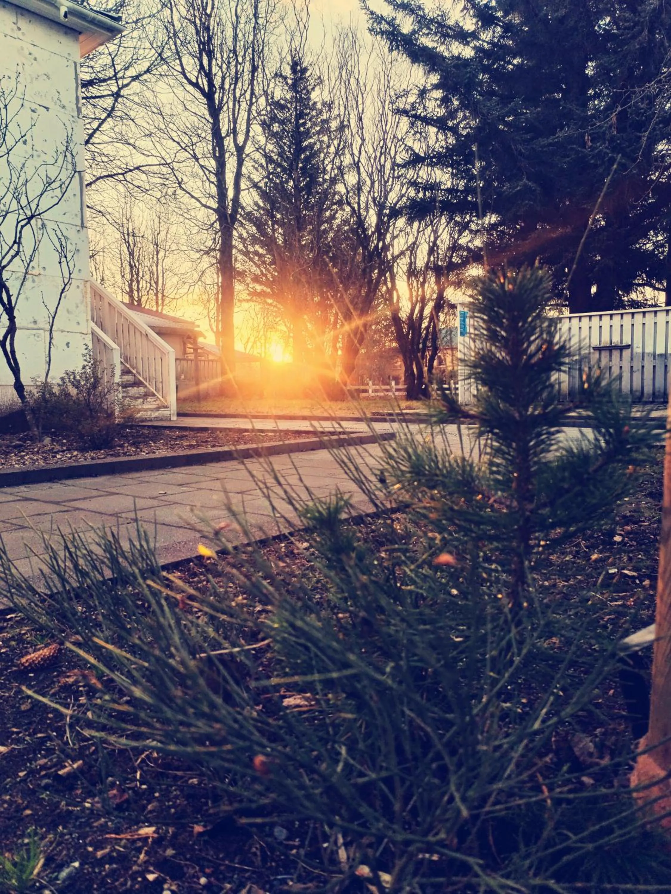 Garden in Selfoss Hostel
