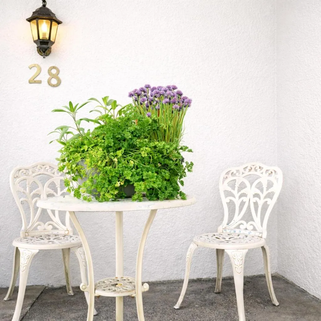 Garden in Selfoss Hostel