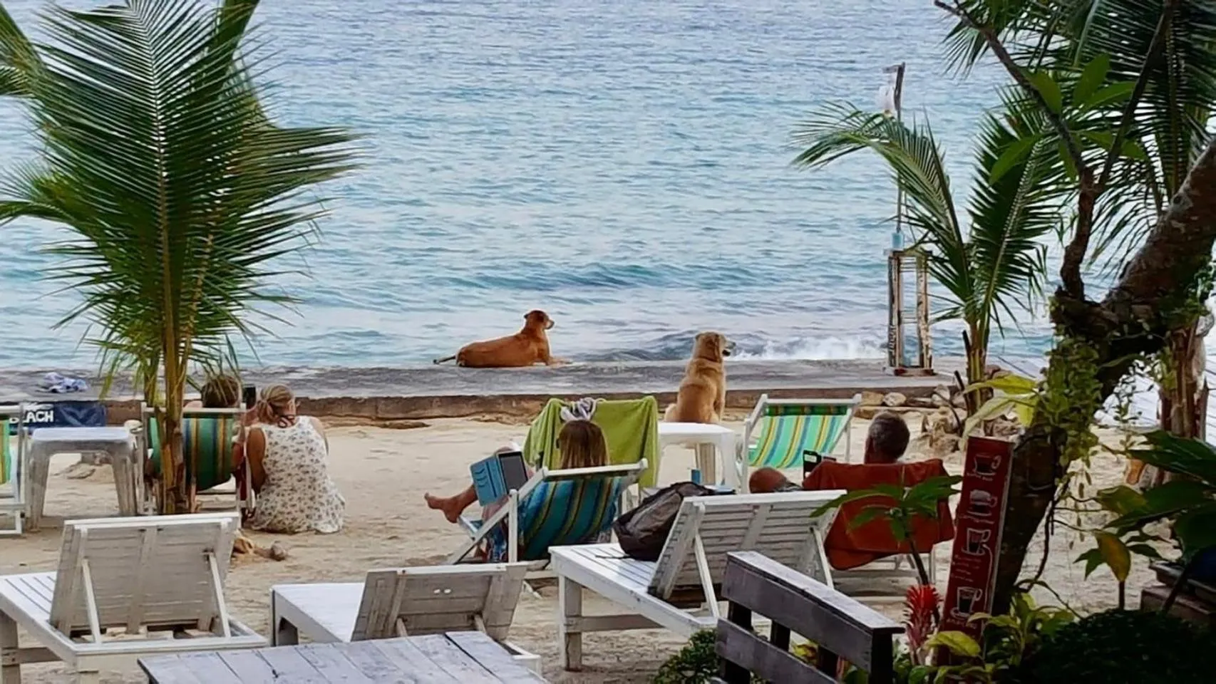 Viking Holiday Resort