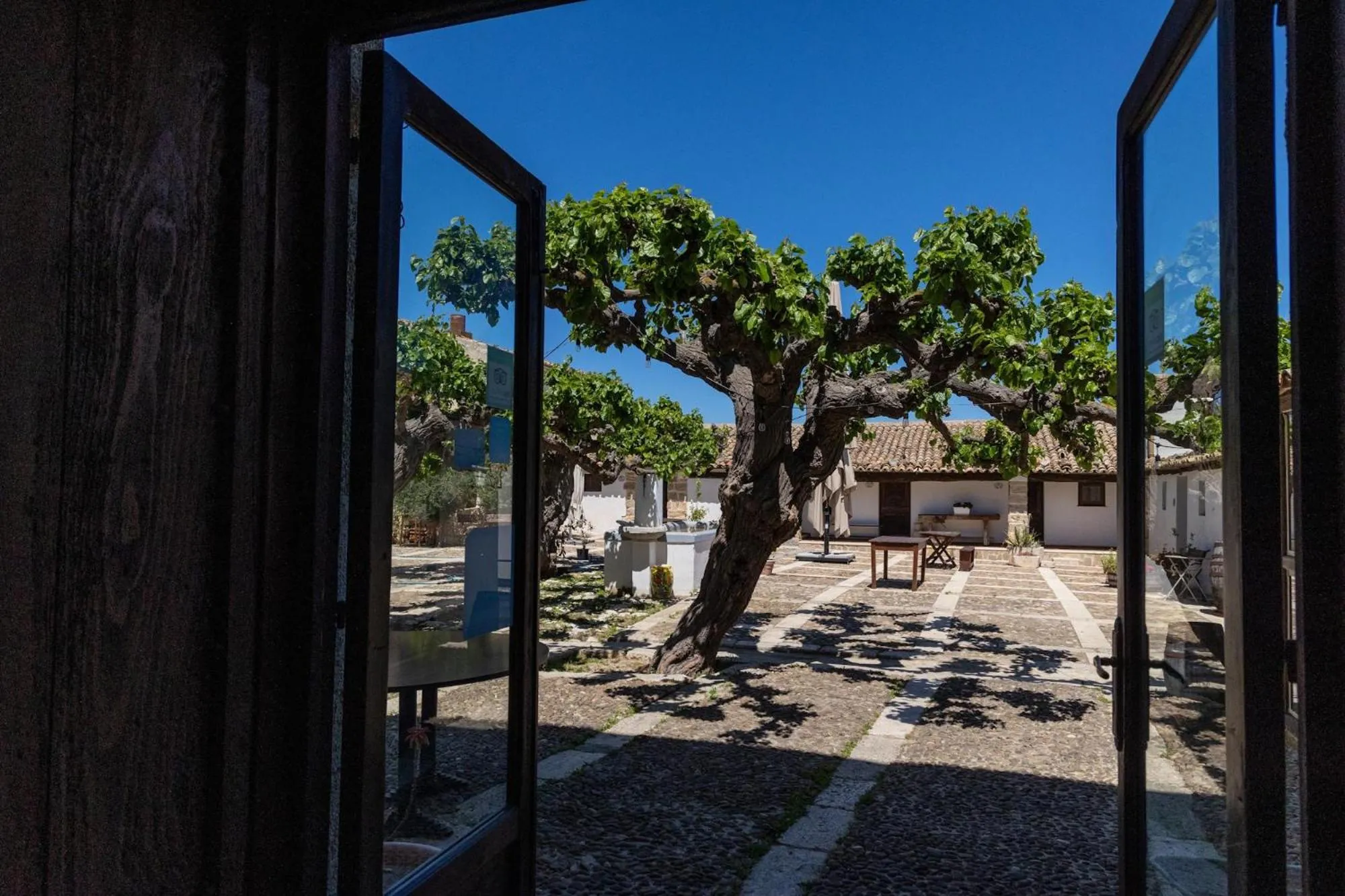 Garden in Fattoria Manostalla Villa Chiarelli