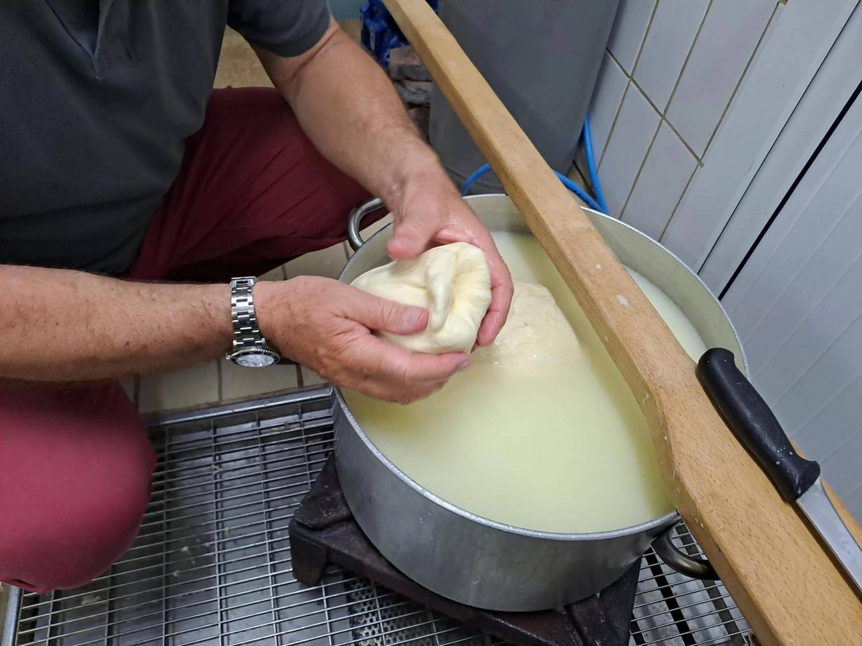 Food in Fattoria Manostalla Villa Chiarelli