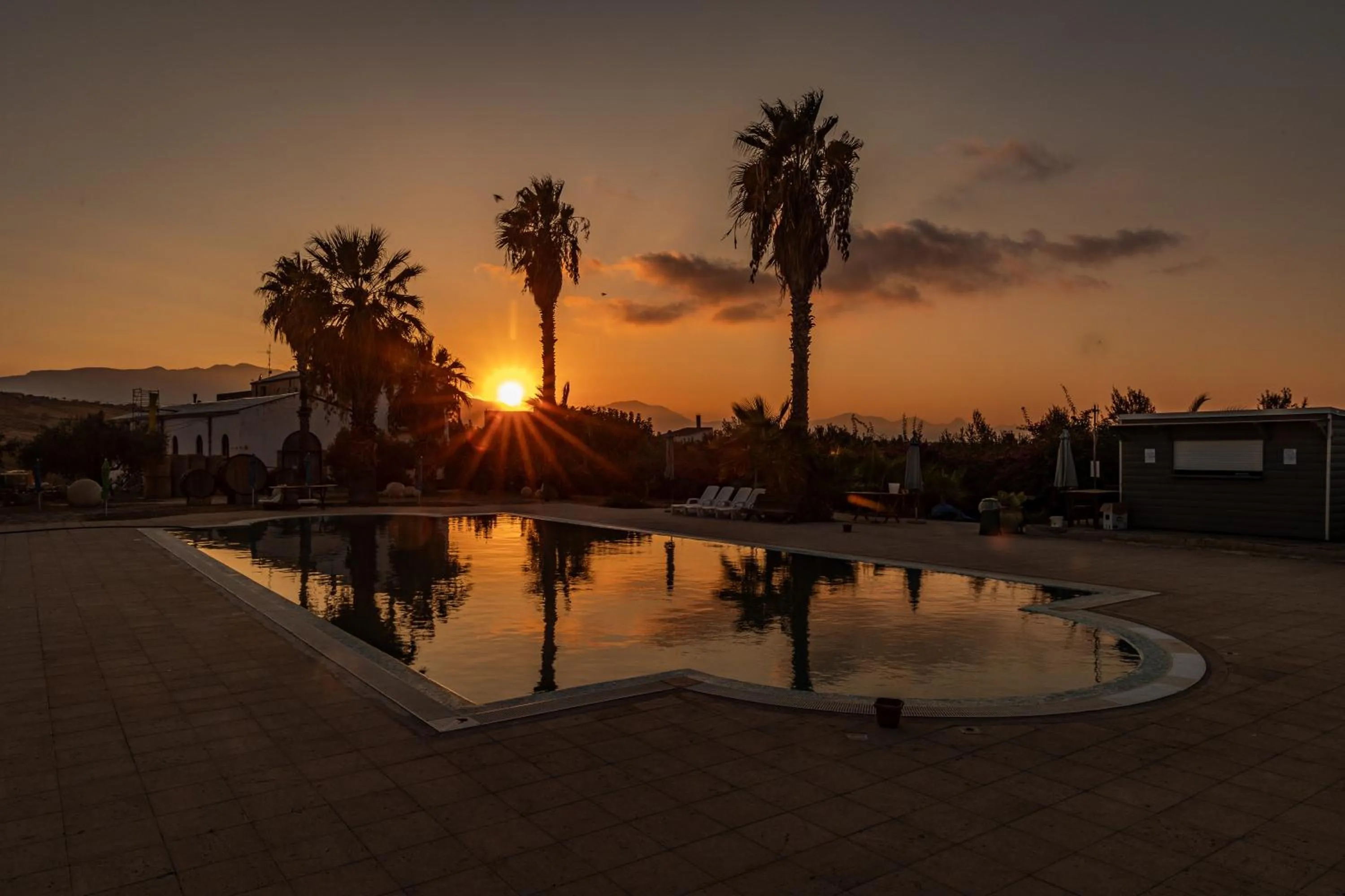 Natural landscape in Fattoria Manostalla Villa Chiarelli