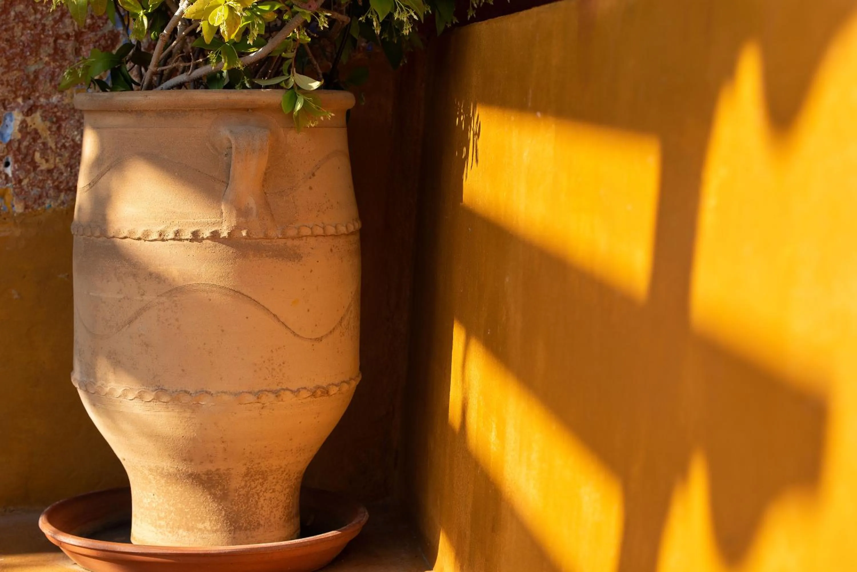 Decorative detail in 10GR Boutique Hotel & Wine Bar