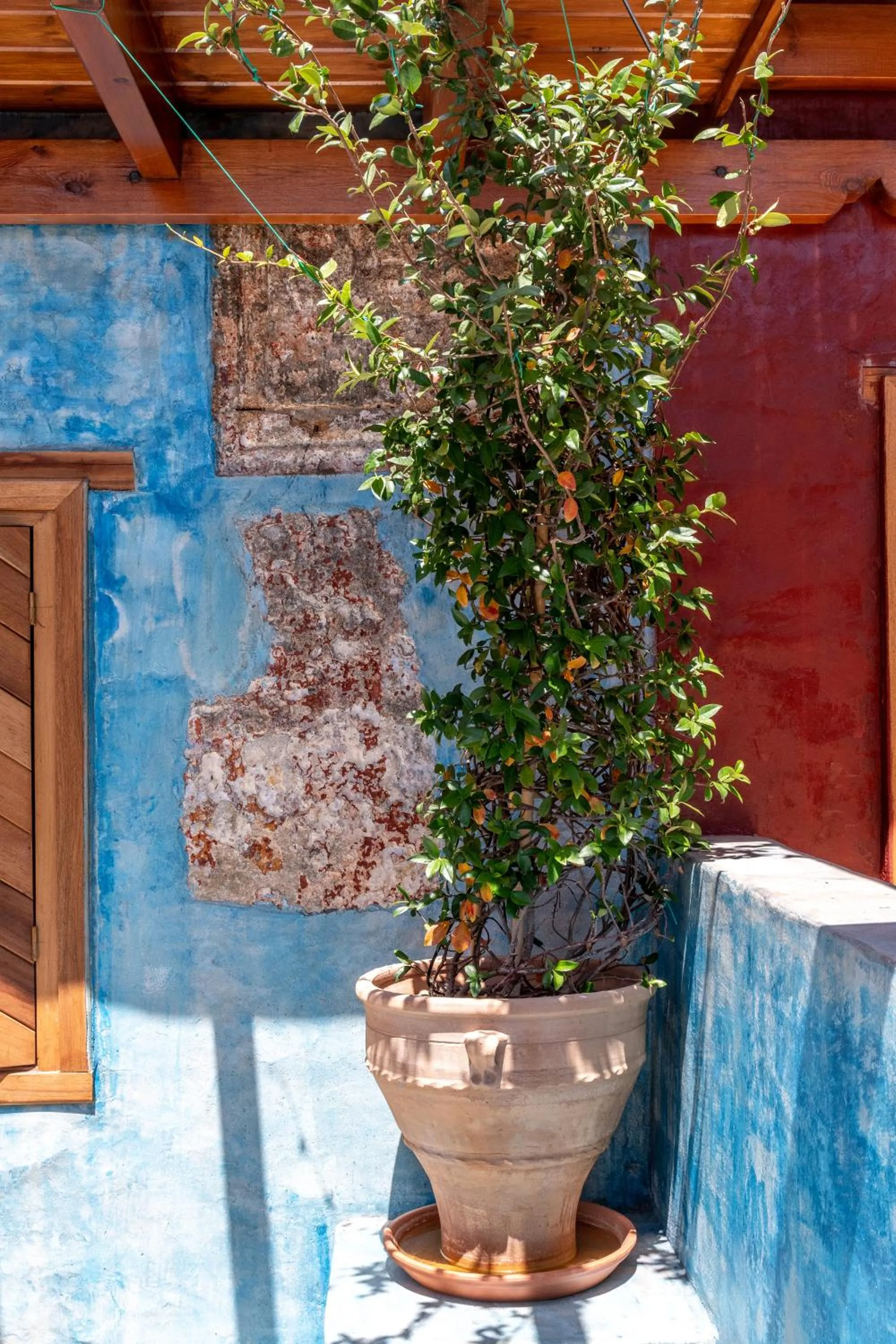 Decorative detail in 10GR Boutique Hotel & Wine Bar