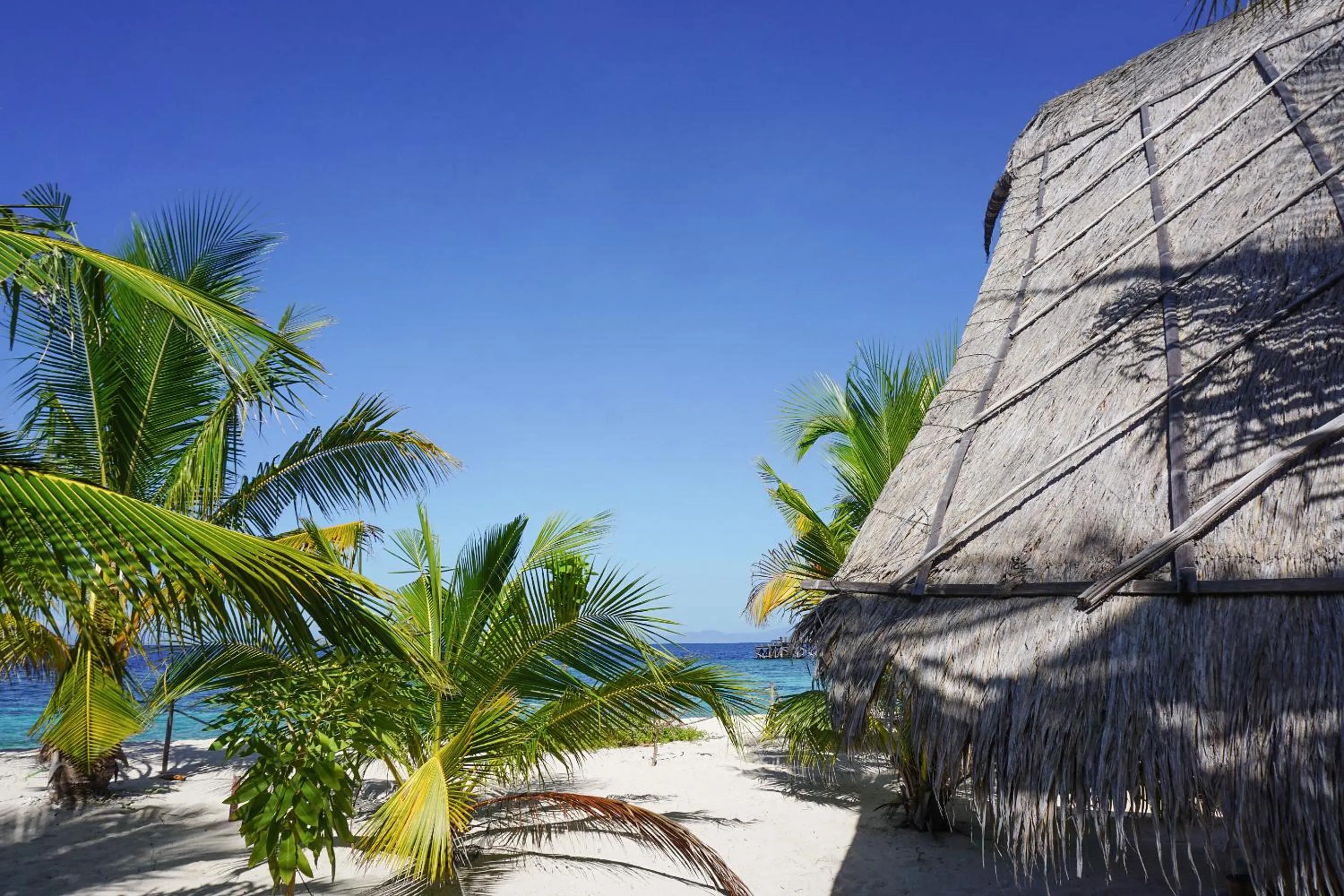 Le Pirate Island - Adults Only