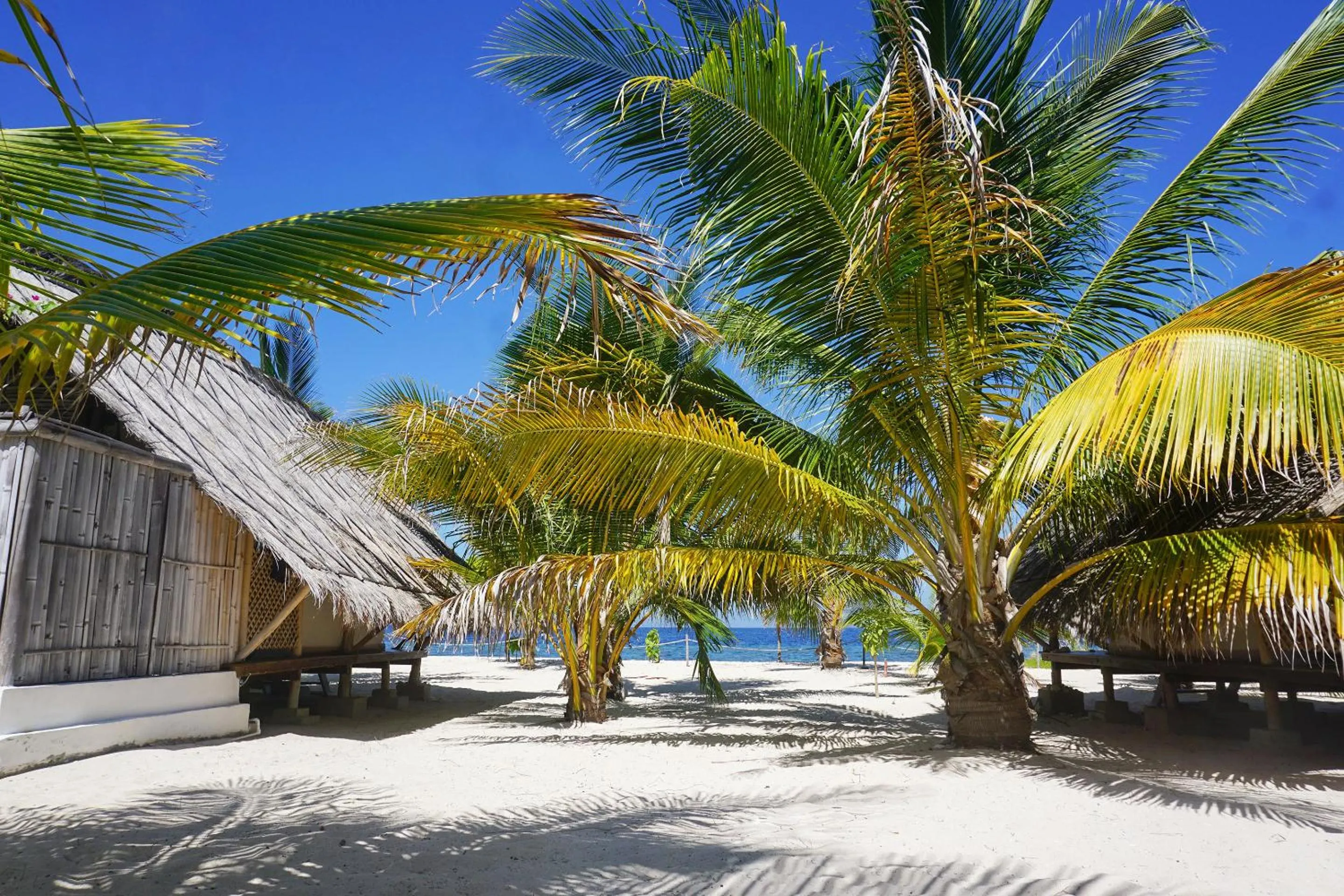 Le Pirate Island - Adults Only