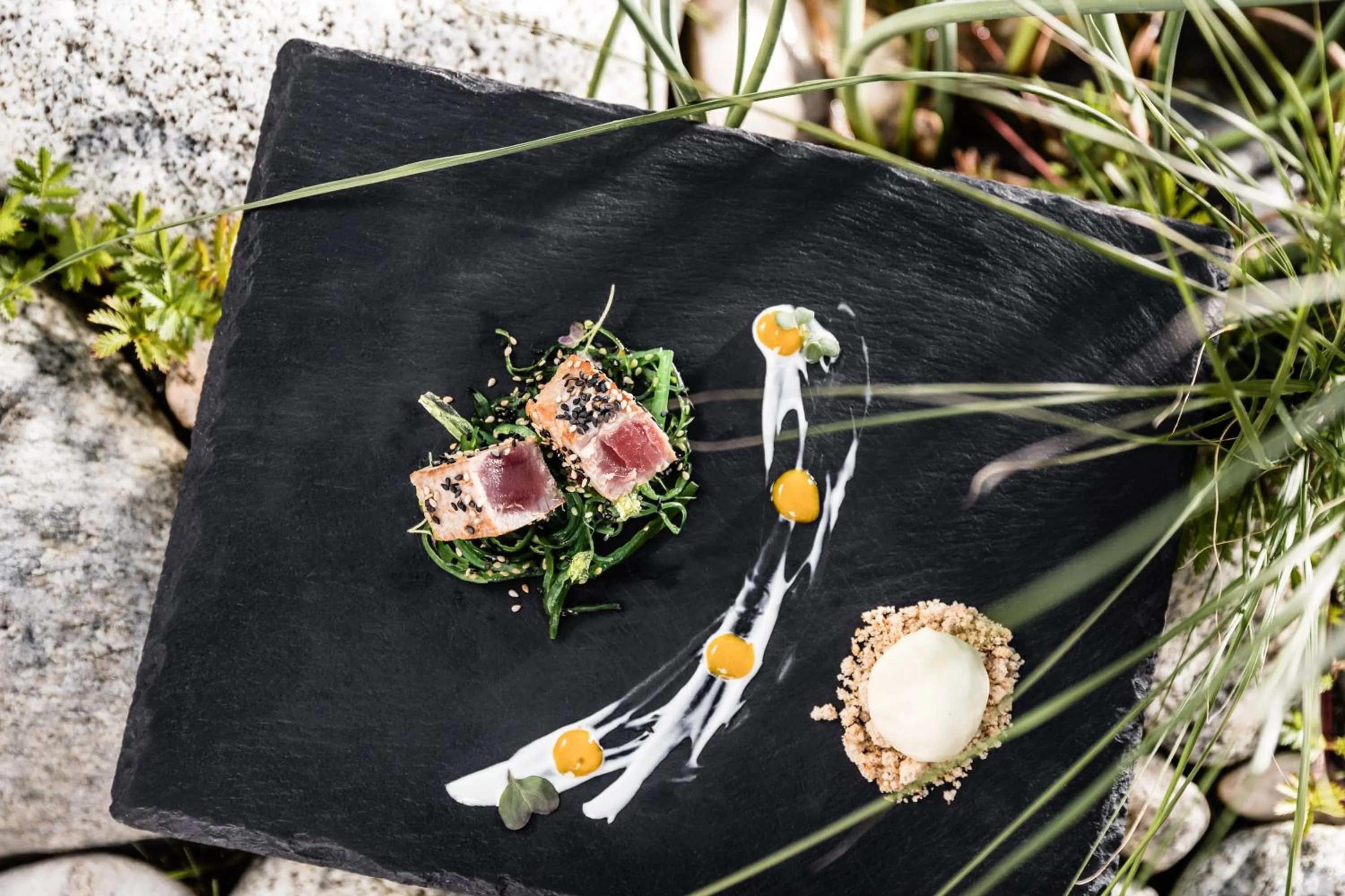 Food close-up in Engels Park