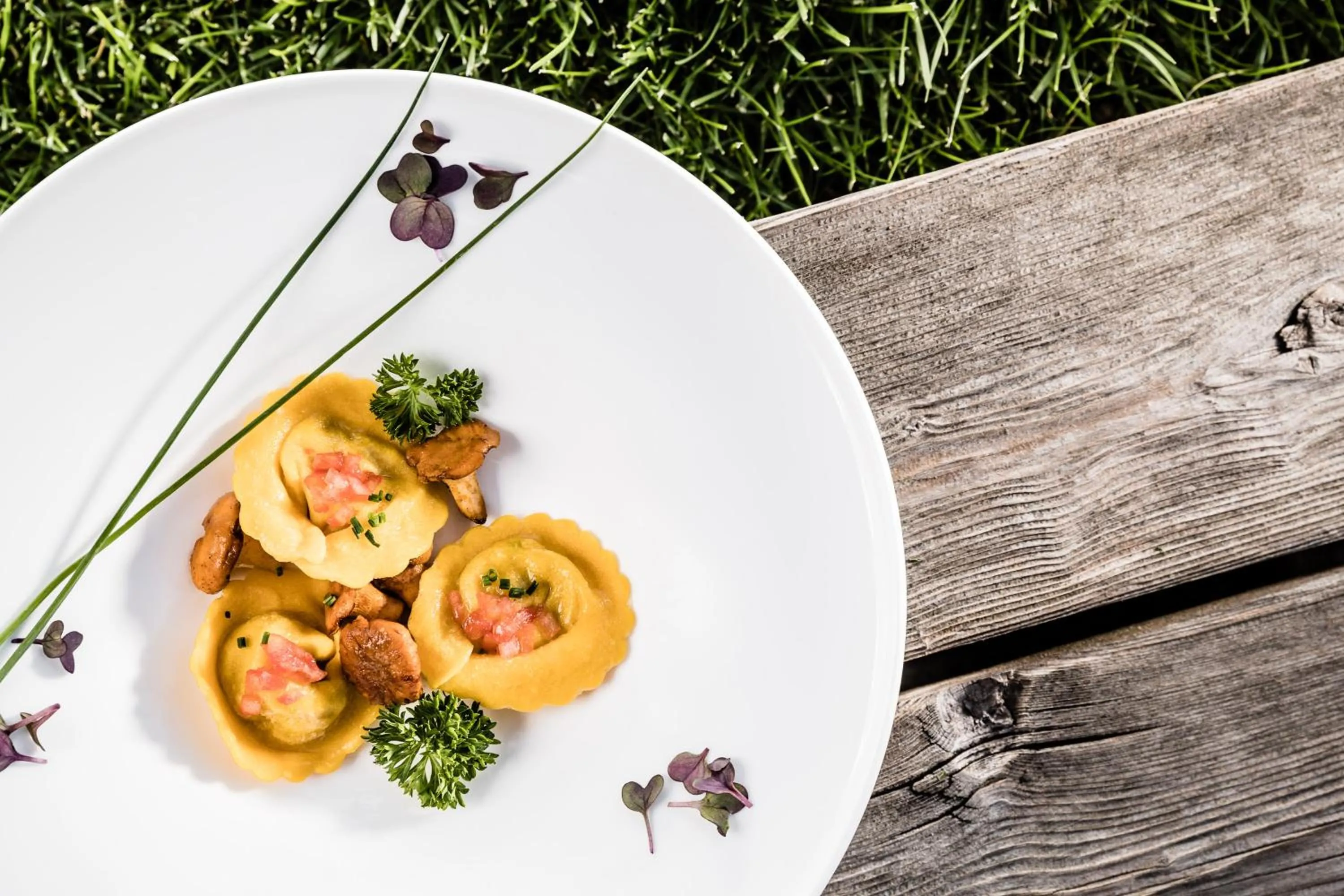 Food close-up in Engels Park